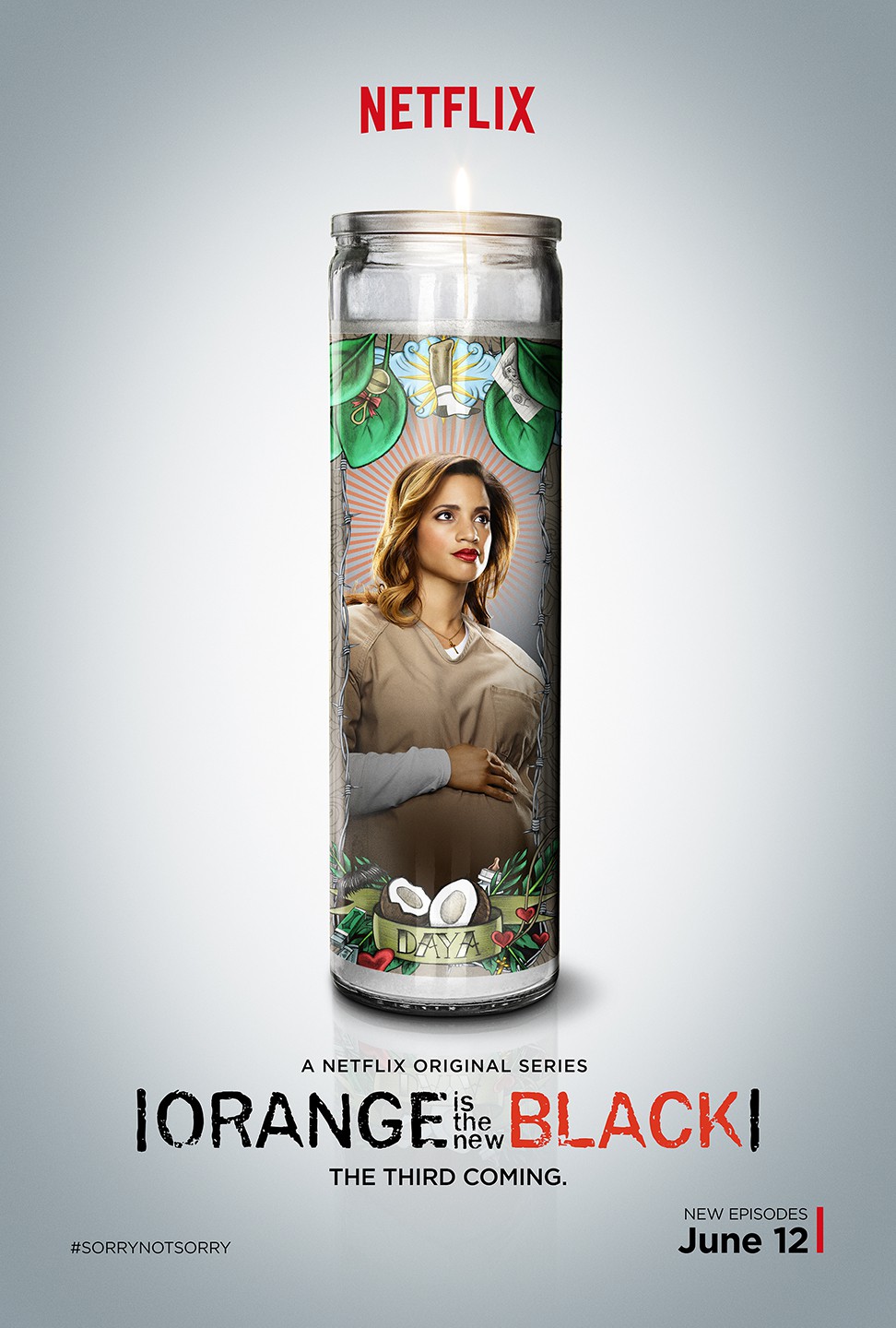 Extra Large Movie Poster Image for Orange Is the New Black (#32 of 81)