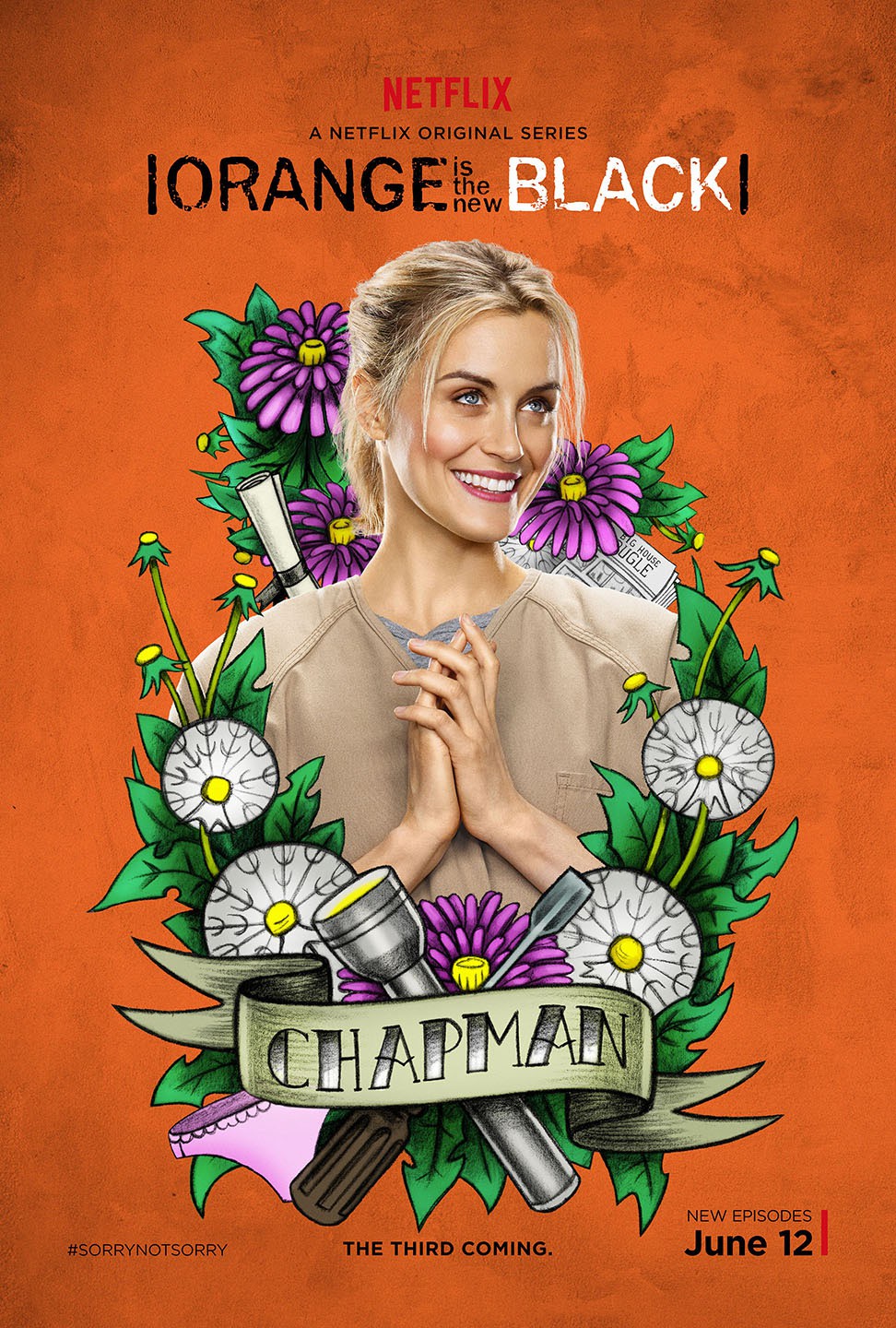 Extra Large Movie Poster Image for Orange Is the New Black (#46 of 81)