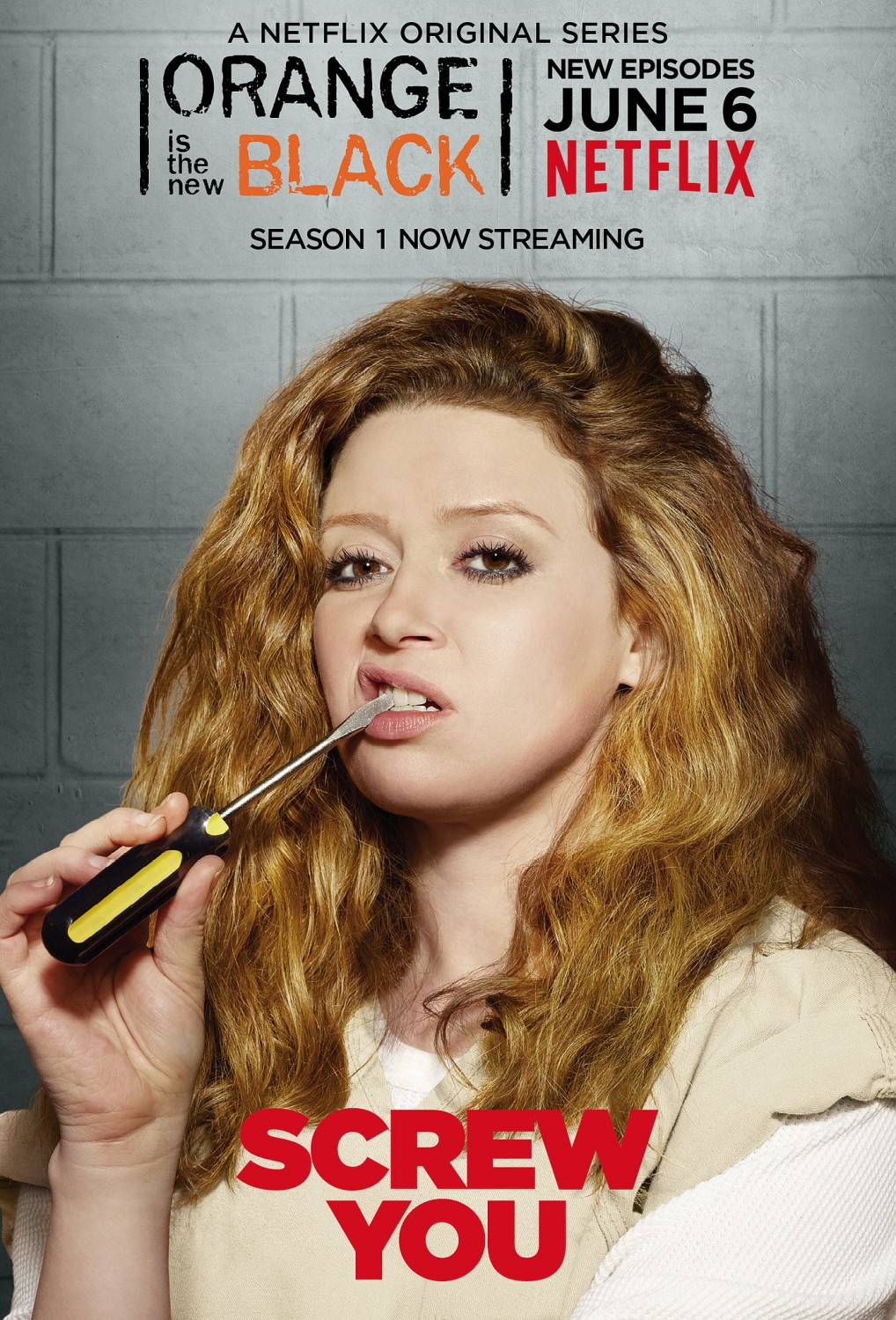 Extra Large TV Poster Image for Orange Is the New Black (#4 of 81)