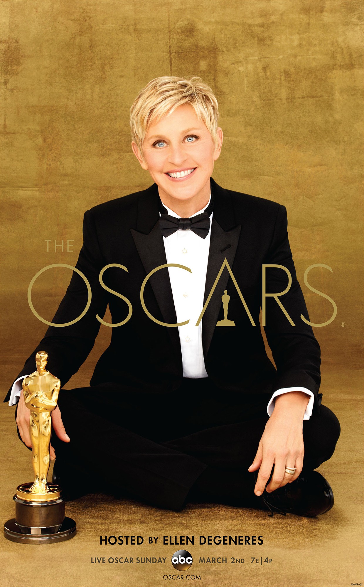 Mega Sized TV Poster Image for The Oscars (#5 of 41)