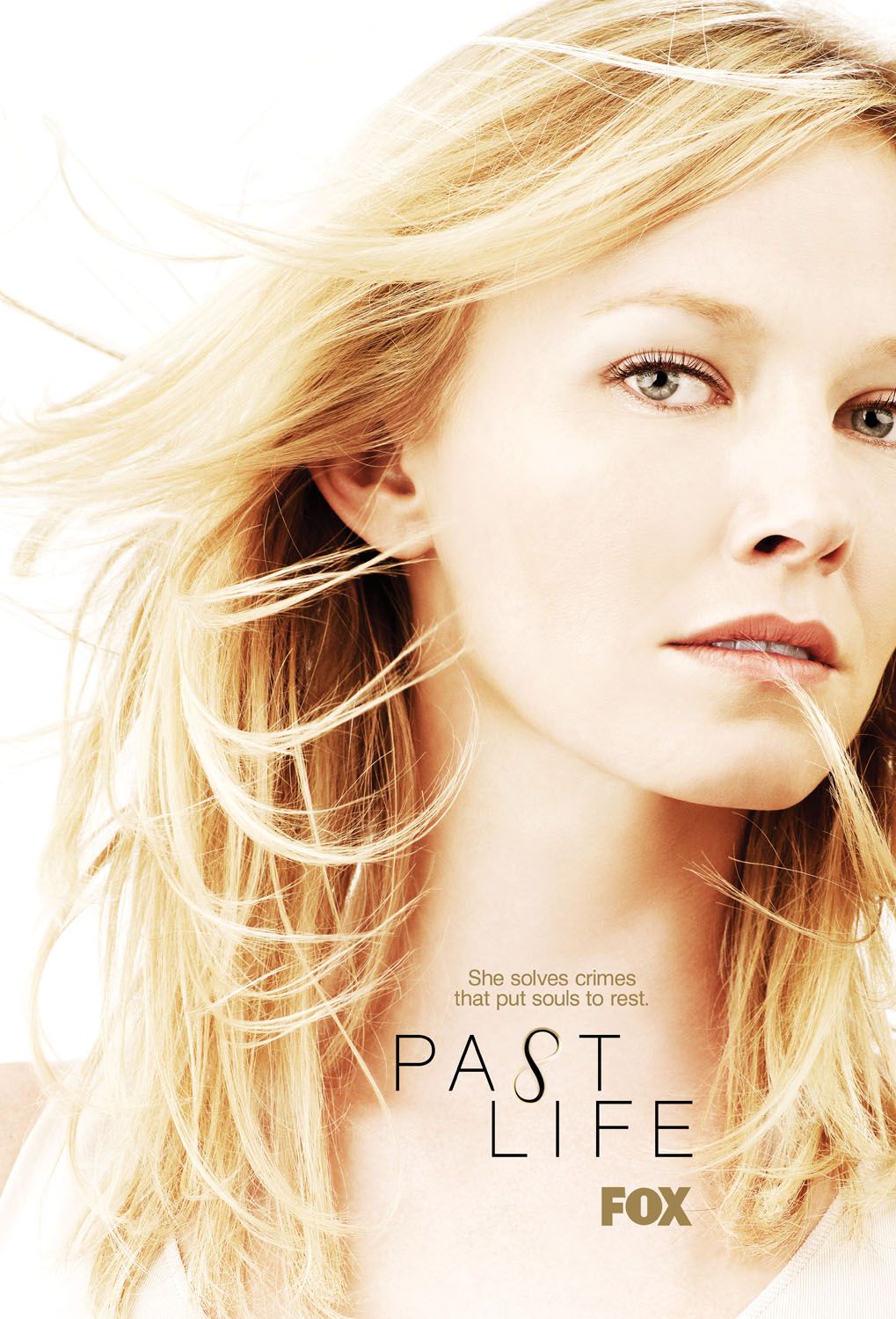 Extra Large TV Poster Image for Past Life 