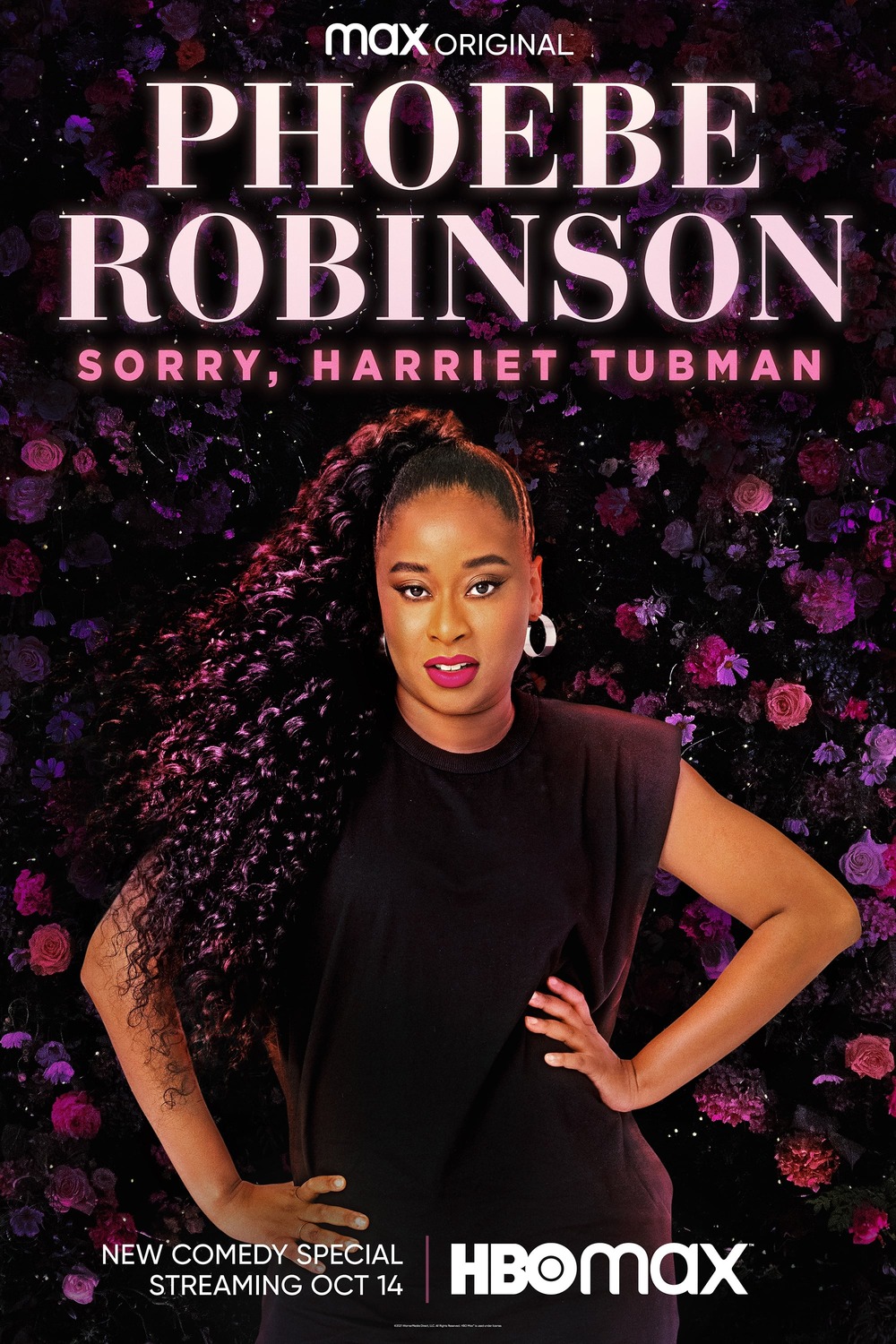 Extra Large TV Poster Image for Phoebe Robinson: Sorry, Harriet Tubman 