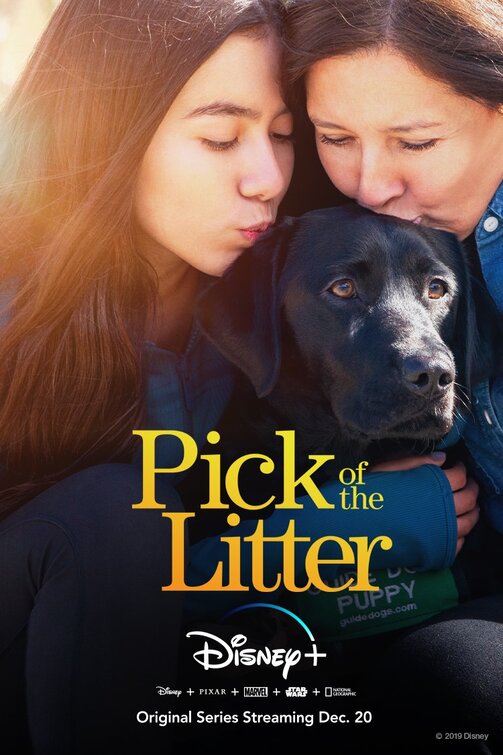 Pick of the Litter Movie Poster