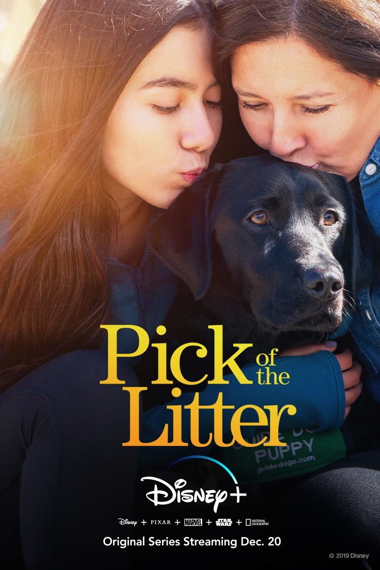 Extra Large TV Poster Image for Pick of the Litter 