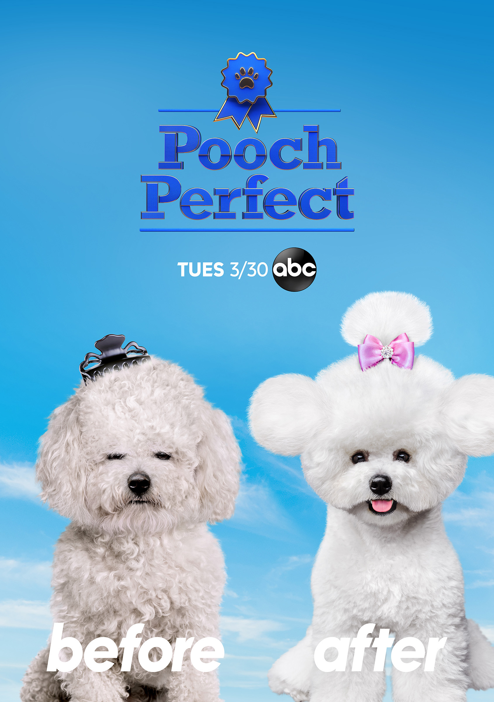 Mega Sized TV Poster Image for Pooch Perfect (#1 of 2)