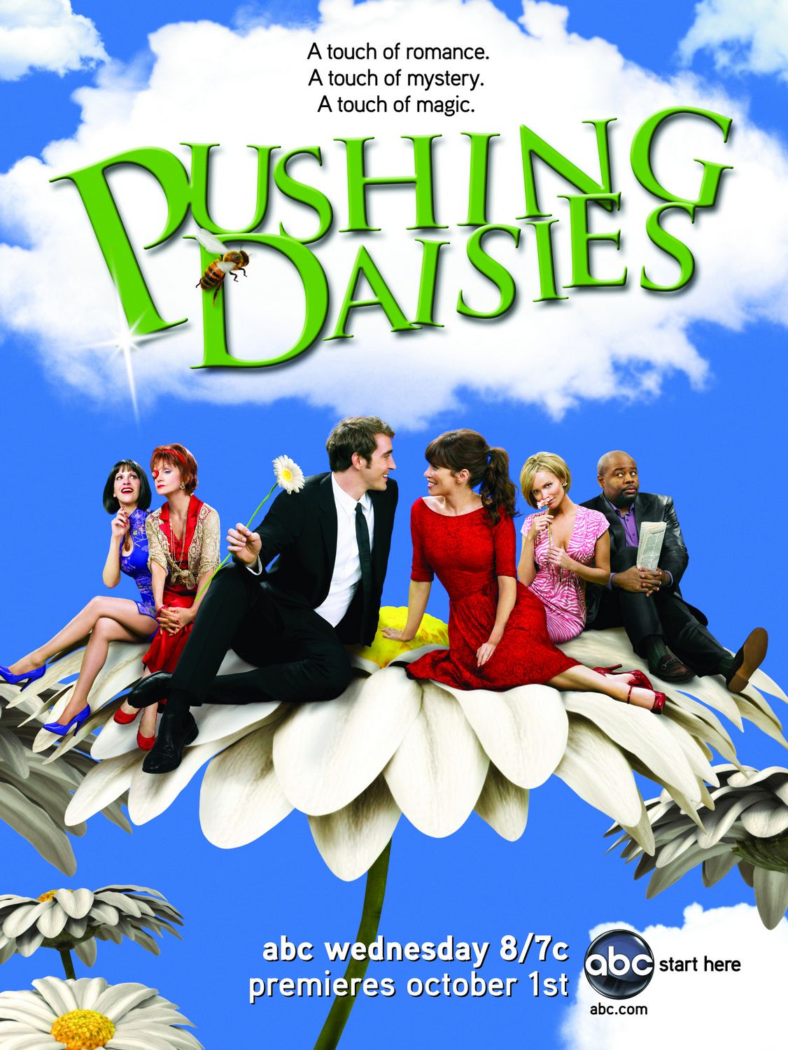 Extra Large TV Poster Image for Pushing Daisies (#4 of 4)