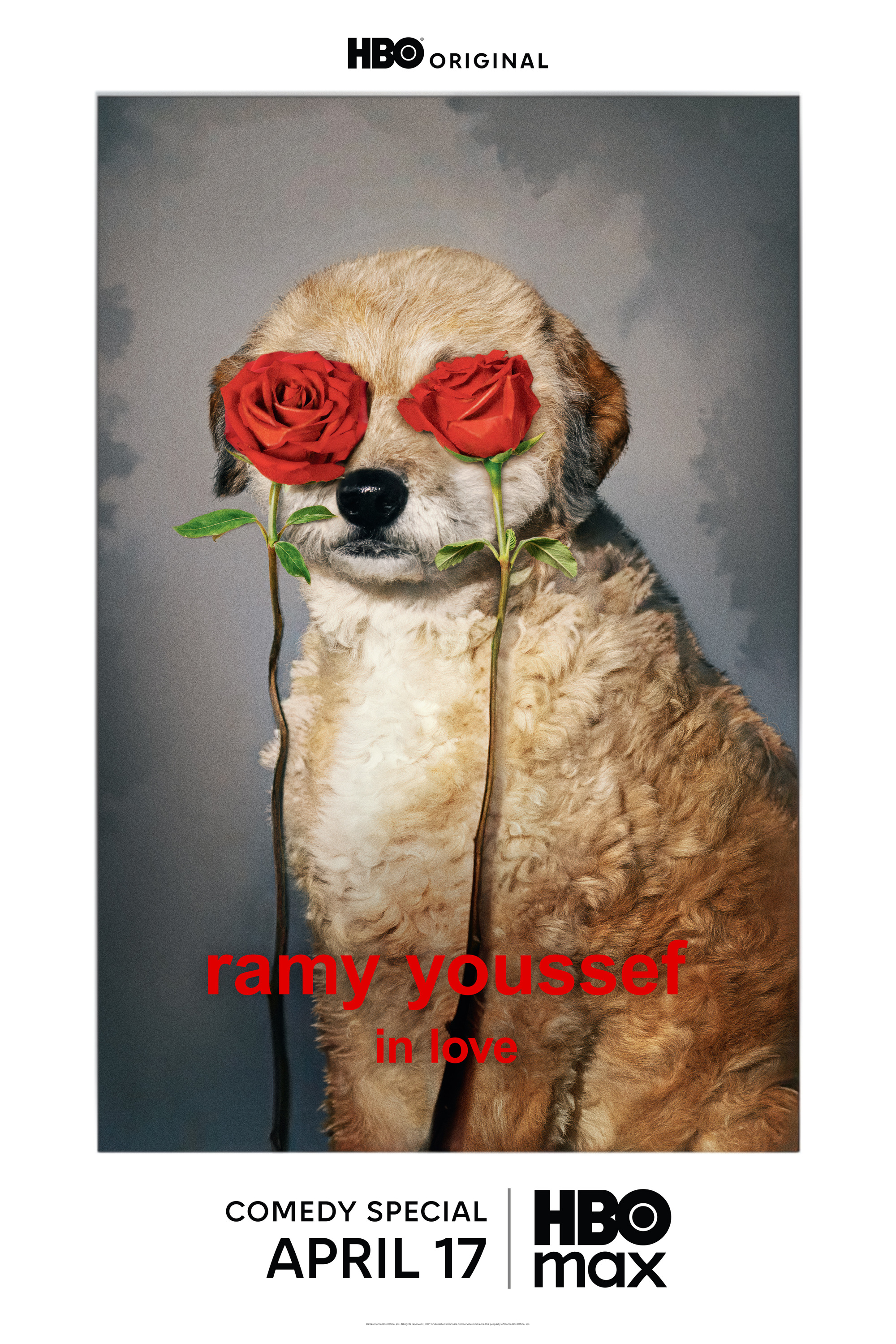 Mega Sized TV Poster Image for Ramy Youssef: In Love (#2 of 3)