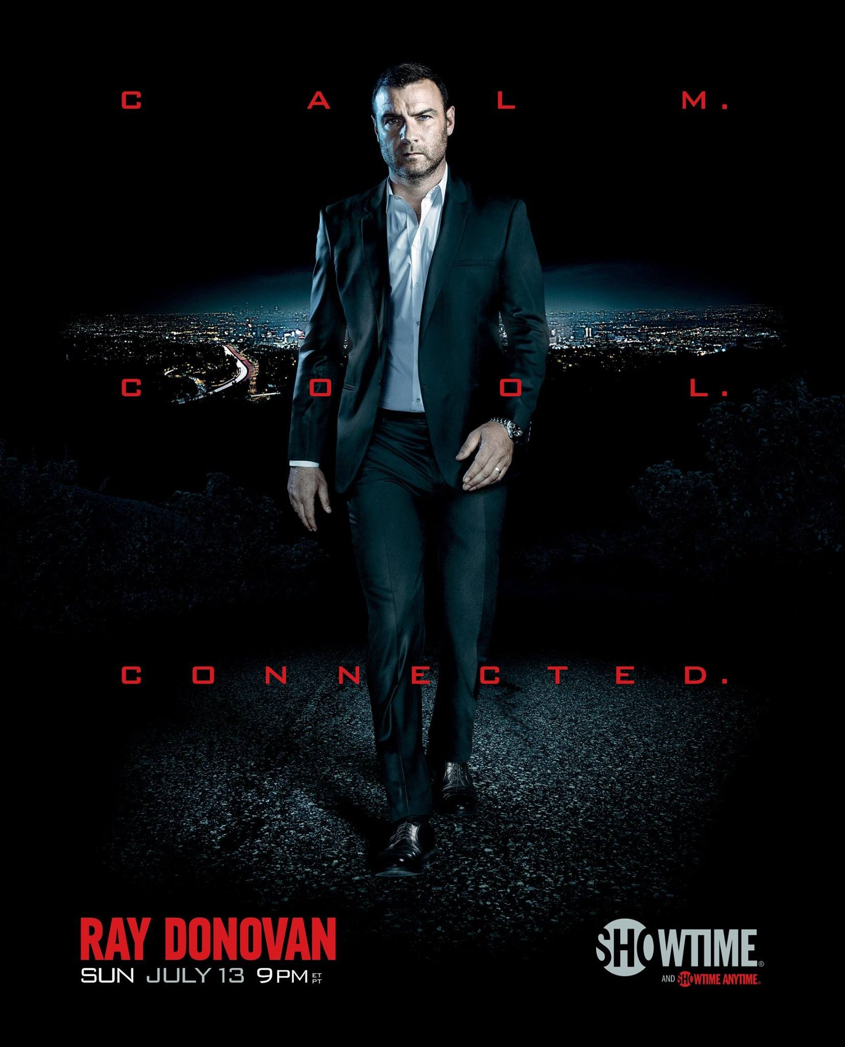 Mega Sized Movie Poster Image for Ray Donovan (#3 of 12)