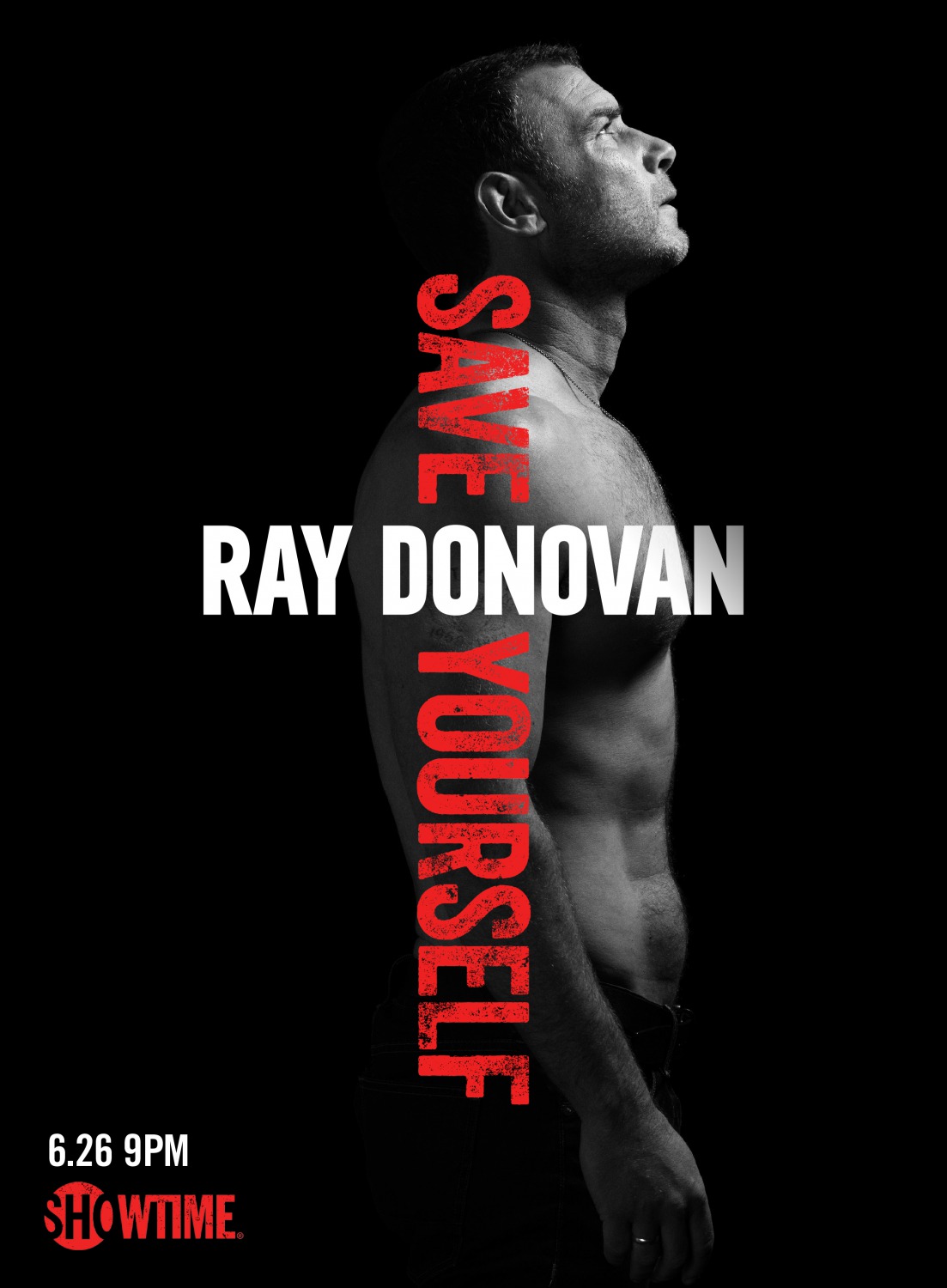 Extra Large Movie Poster Image for Ray Donovan (#8 of 12)