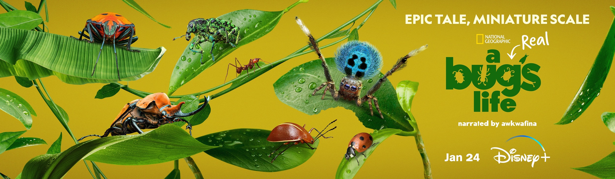 Mega Sized TV Poster Image for A Real Bug's Life (#2 of 13)