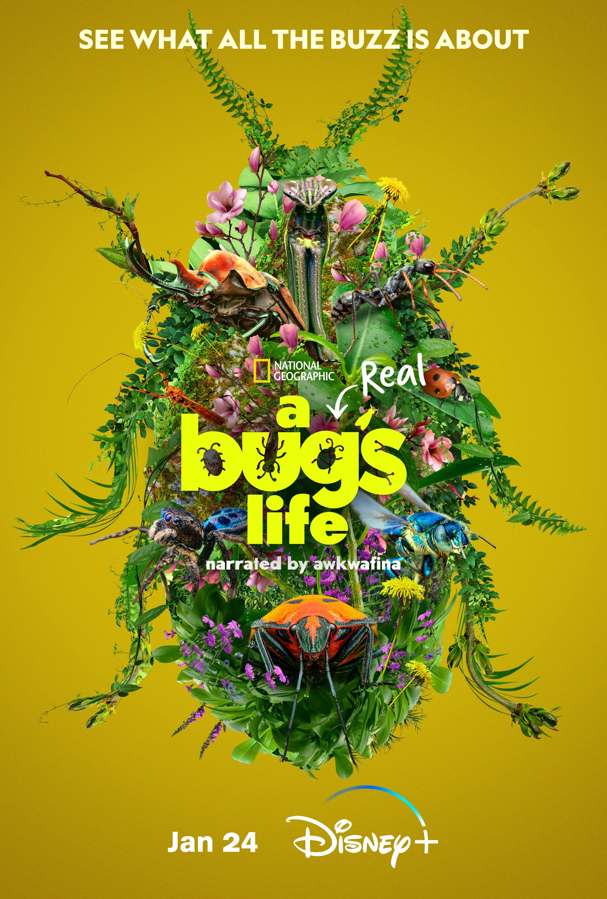 Mega Sized TV Poster Image for A Real Bug's Life (#3 of 13)