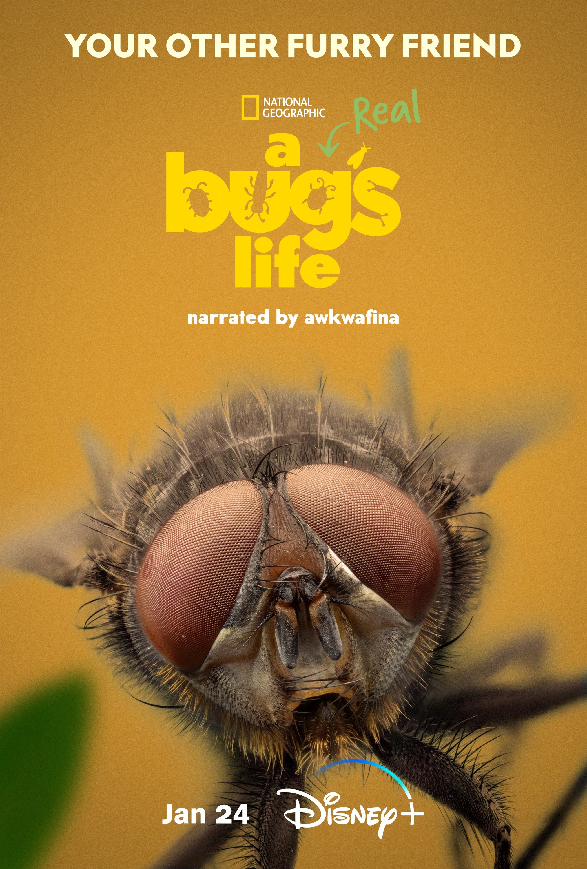 Mega Sized TV Poster Image for A Real Bug's Life (#4 of 13)