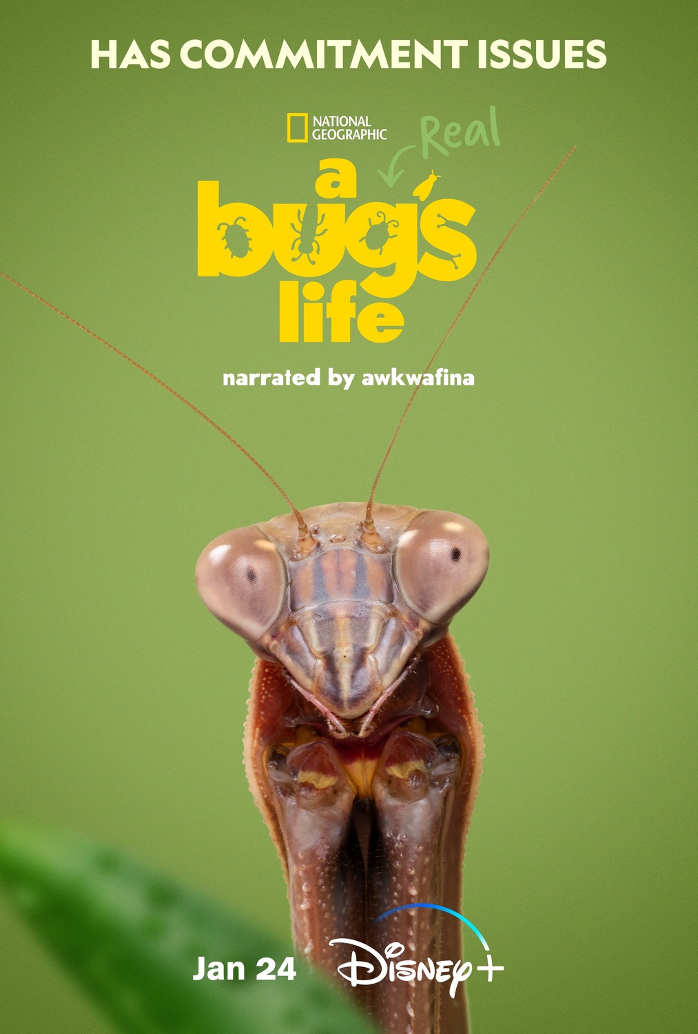 Extra Large TV Poster Image for A Real Bug's Life (#5 of 13)