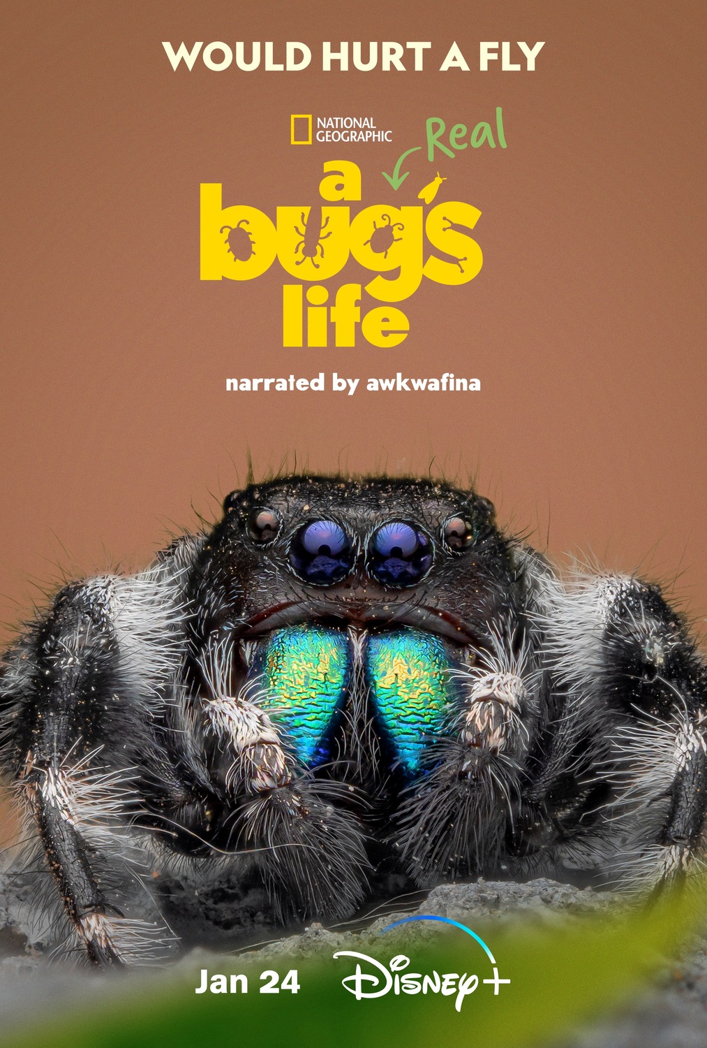 Extra Large TV Poster Image for A Real Bug's Life (#6 of 13)