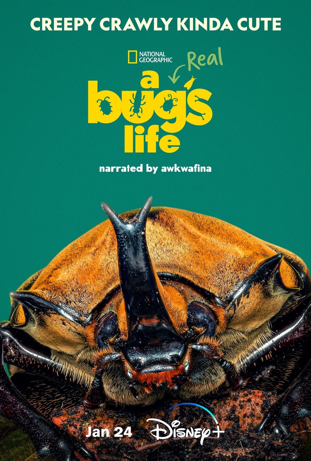 Extra Large TV Poster Image for A Real Bug's Life (#7 of 13)