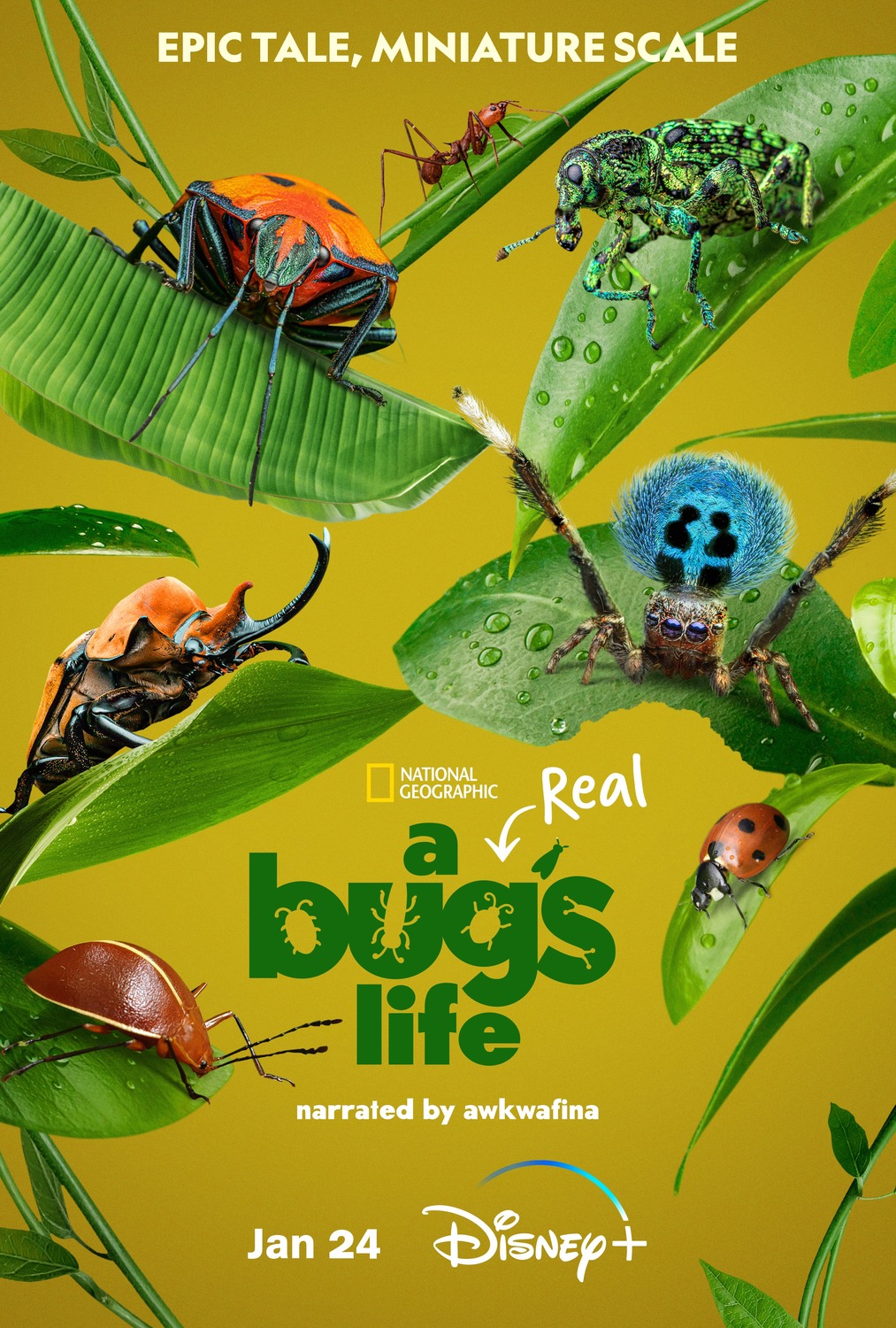 Extra Large TV Poster Image for A Real Bug's Life (#1 of 13)