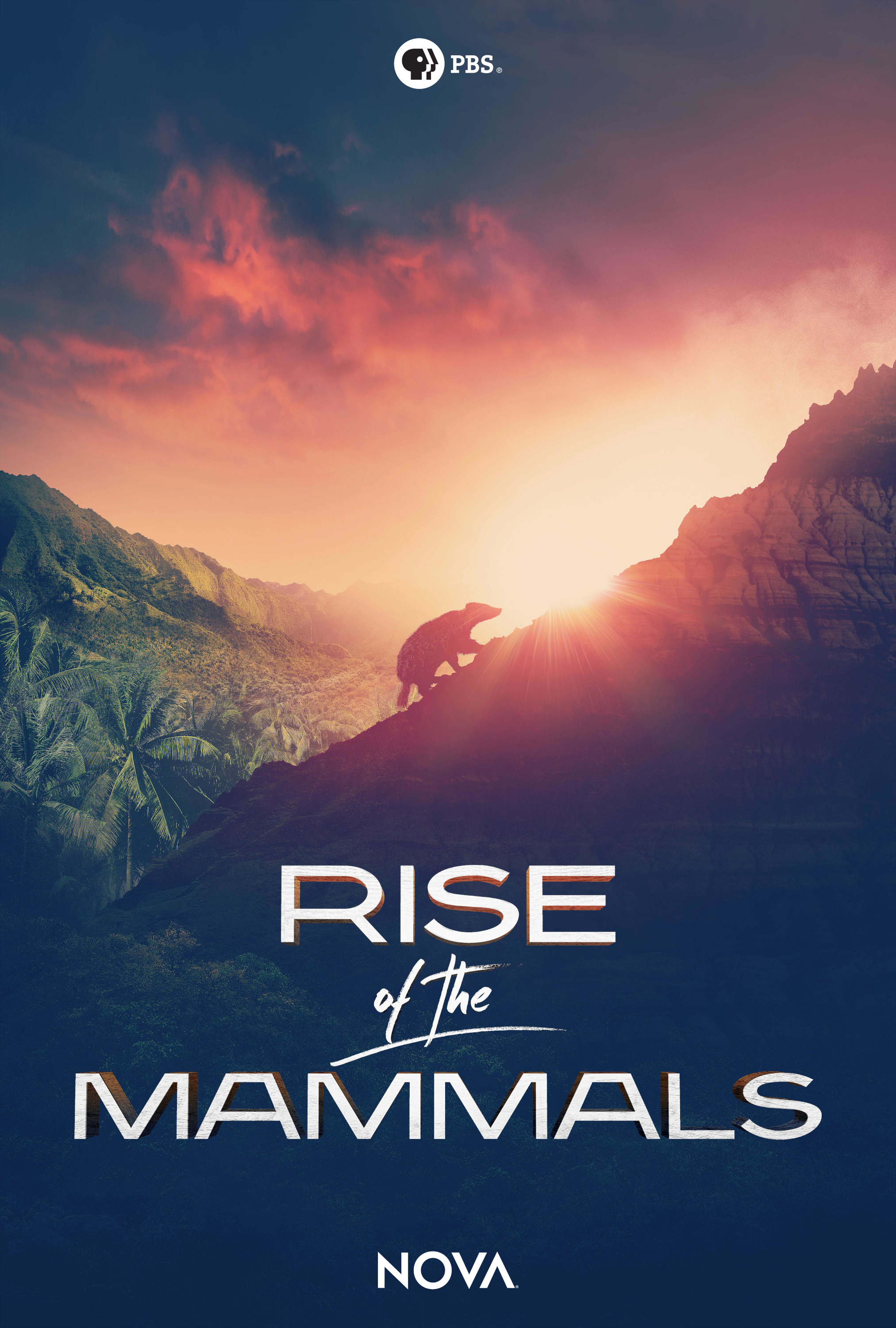 Mega Sized TV Poster Image for Rise of the Mammals 