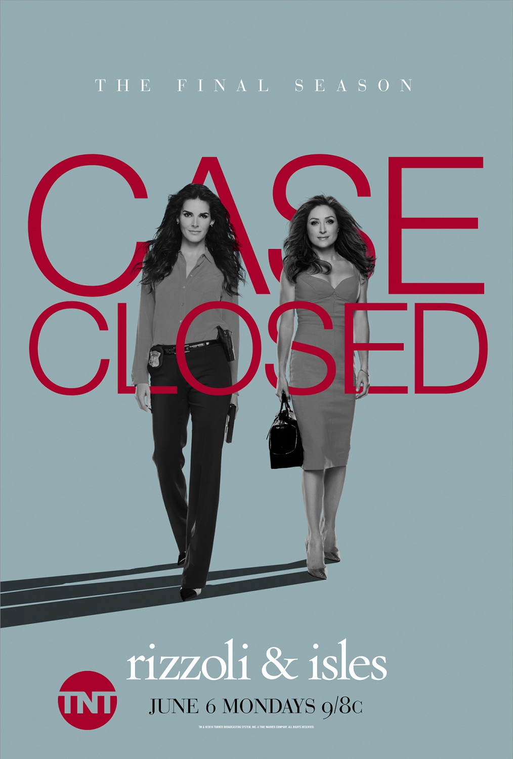 Extra Large TV Poster Image for Rizzoli & Isles (#11 of 11)