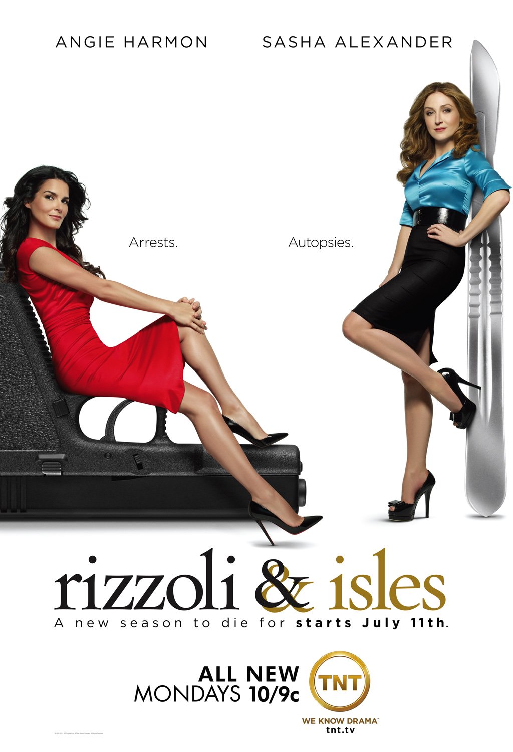Extra Large TV Poster Image for Rizzoli & Isles (#3 of 11)