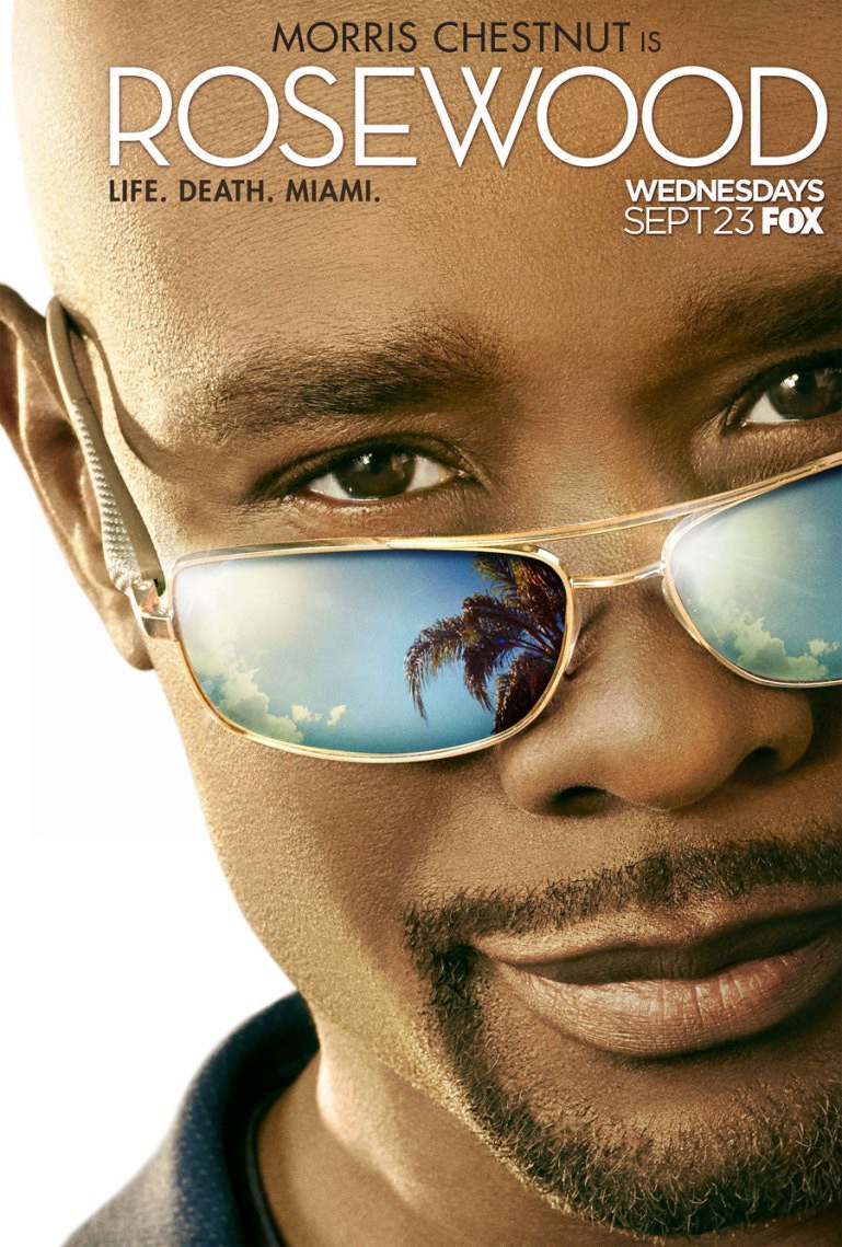 Extra Large TV Poster Image for Rosewood (#1 of 2)