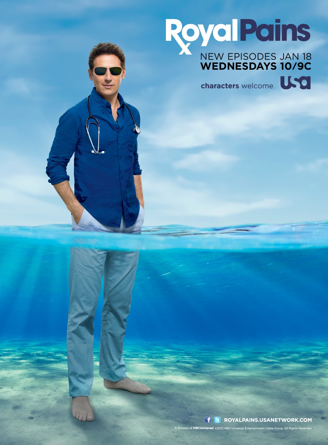 Extra Large TV Poster Image for Royal Pains (#6 of 9)