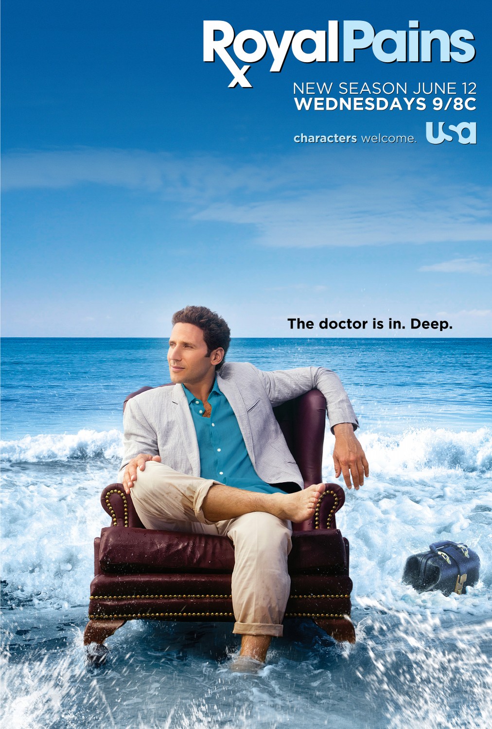 Extra Large TV Poster Image for Royal Pains (#8 of 9)