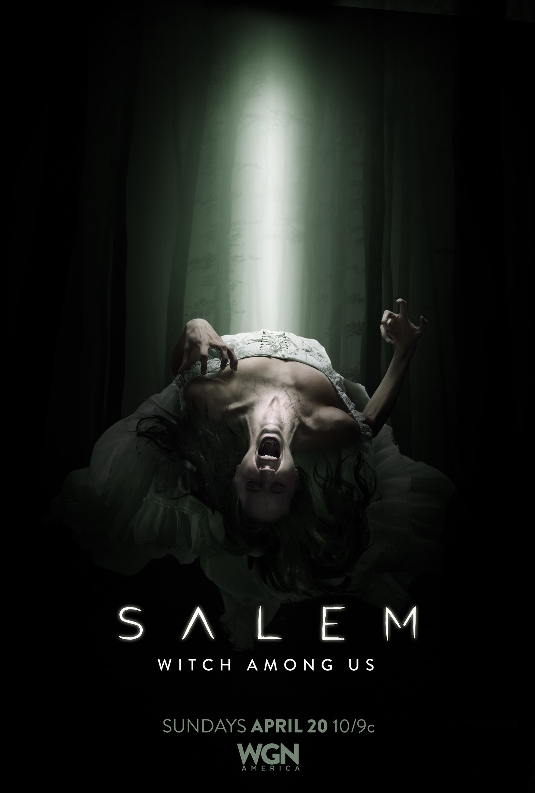Mega Sized TV Poster Image for Salem (#5 of 12)
