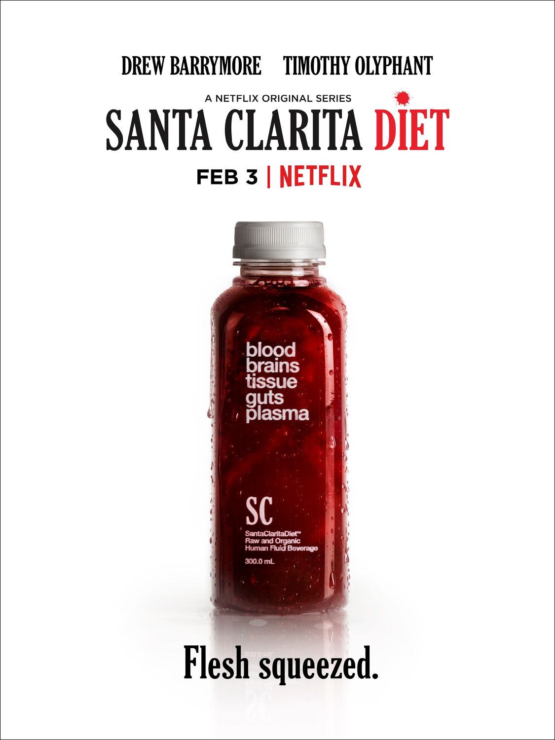 Extra Large Movie Poster Image for Santa Clarita Diet (#6 of 10)
