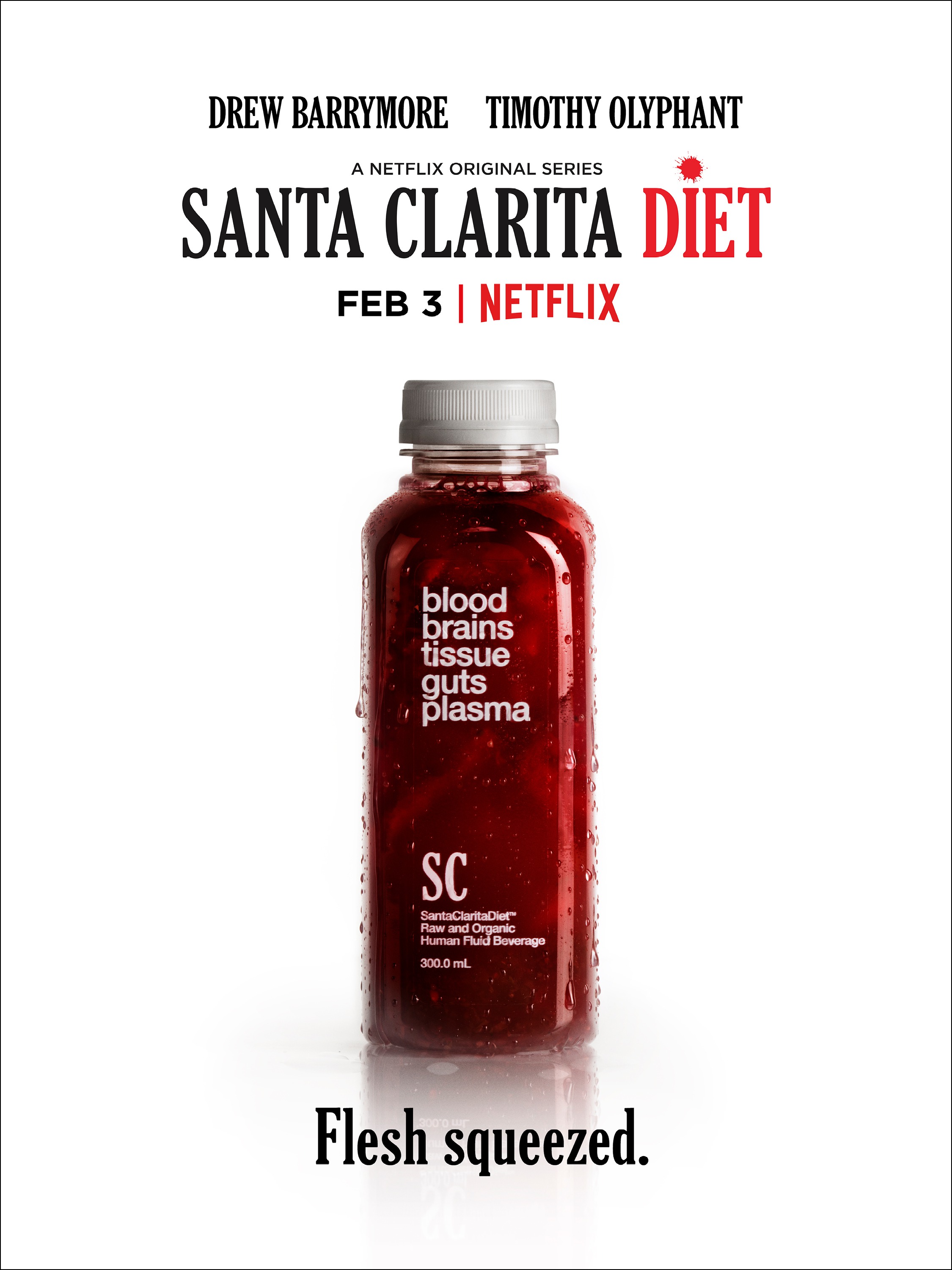 Mega Sized Movie Poster Image for Santa Clarita Diet (#6 of 10)