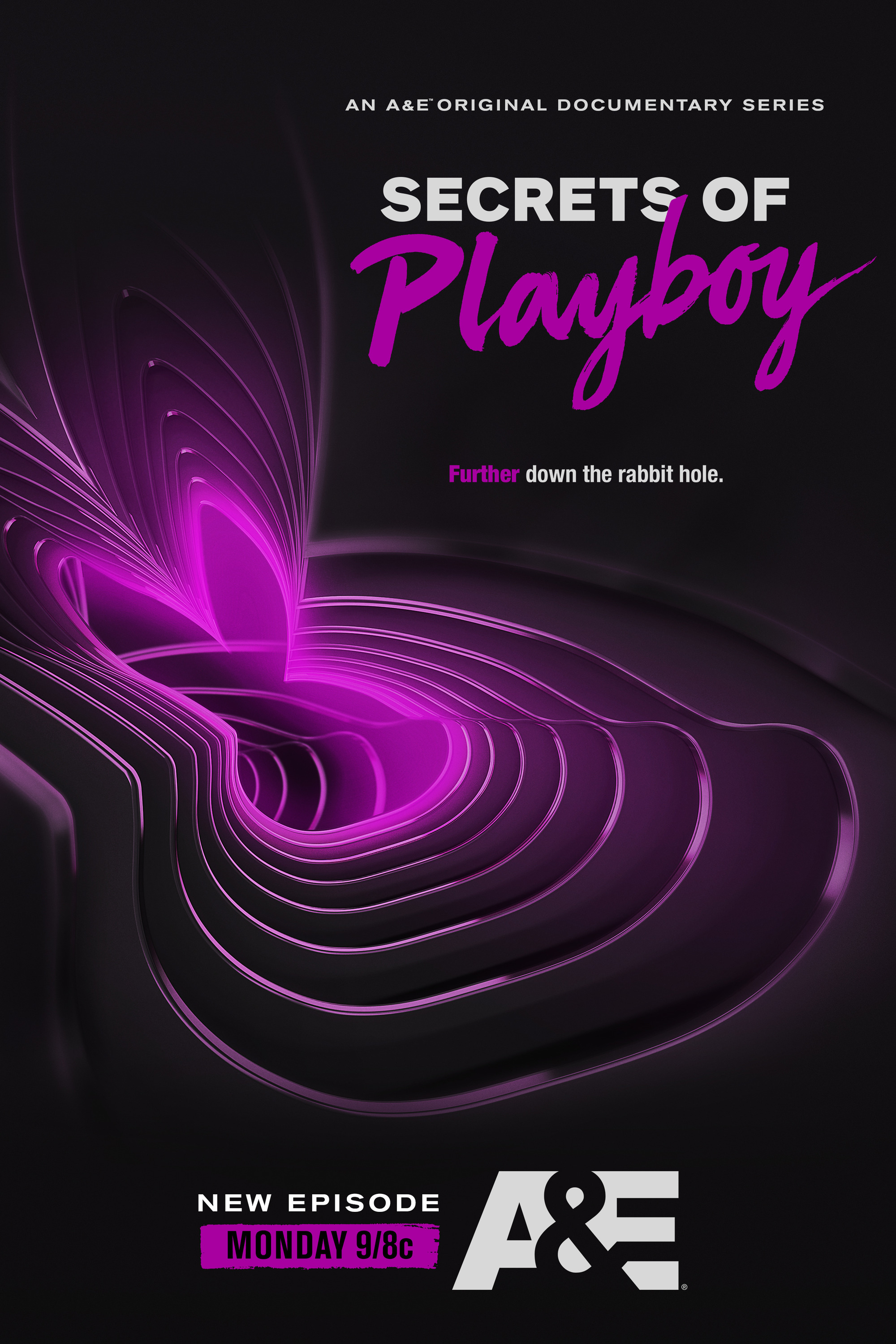 Mega Sized TV Poster Image for Secrets of Playboy (#2 of 3)