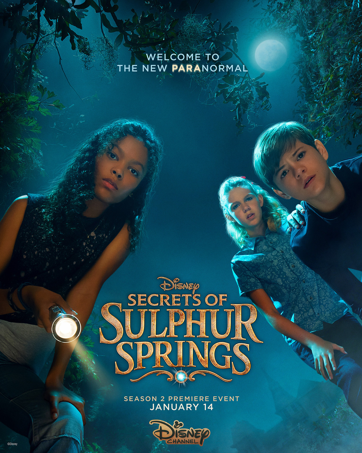 Extra Large Movie Poster Image for Secrets of Sulphur Springs (#3 of 3)