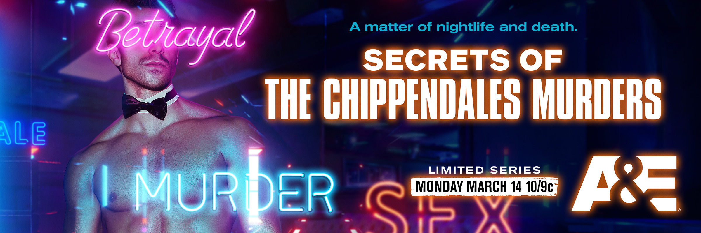 Mega Sized Movie Poster Image for Secrets of the Chippendales Murders (#2 of 2)