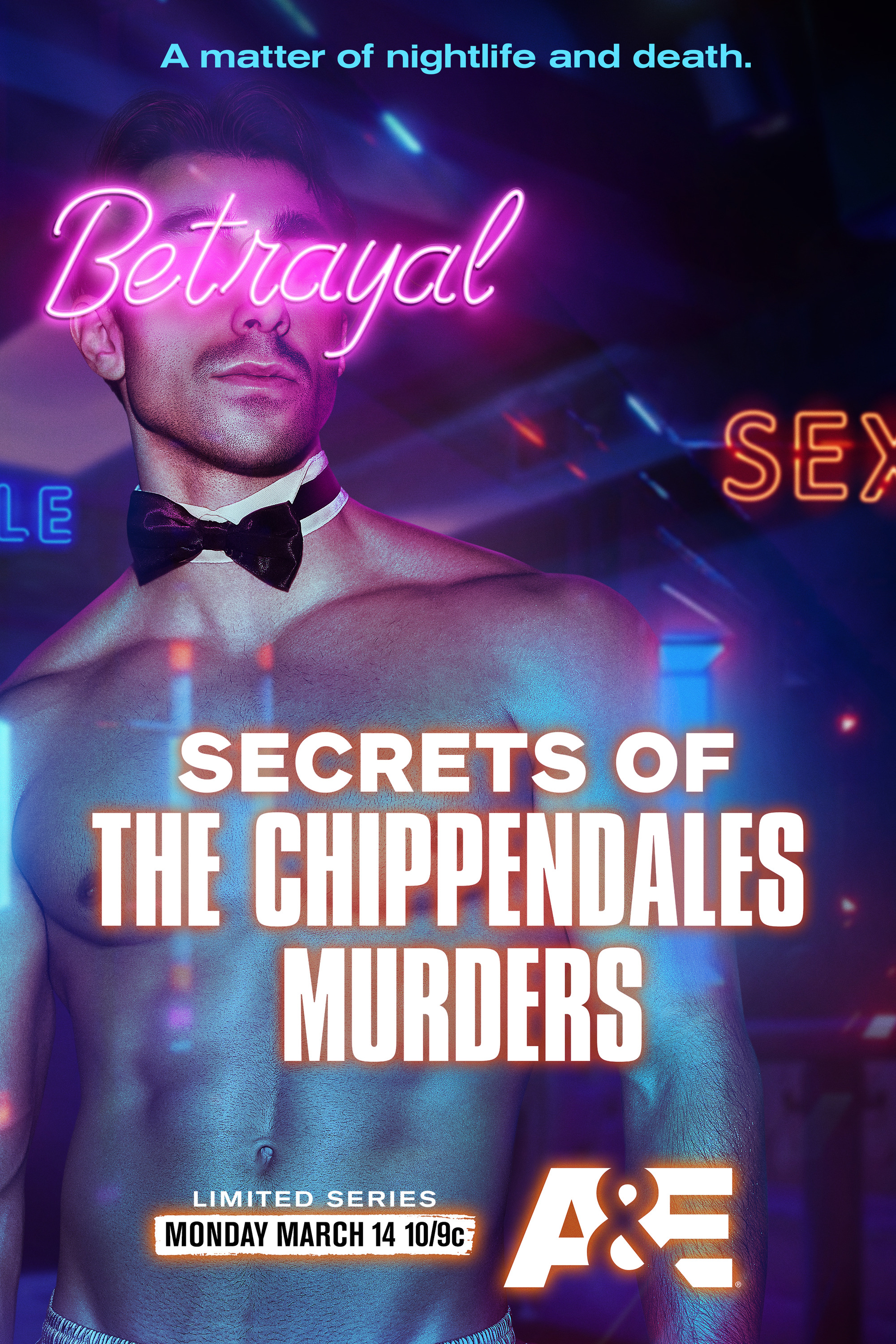 Mega Sized TV Poster Image for Secrets of the Chippendales Murders (#1 of 2)