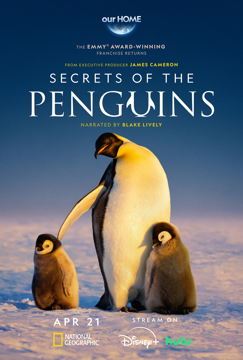 Extra Large TV Poster Image for Secrets of the Penguins 