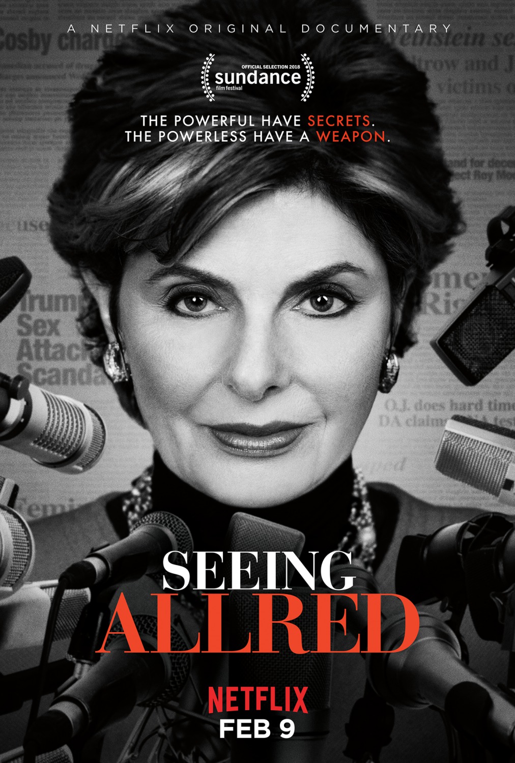 Extra Large TV Poster Image for Seeing Allred 