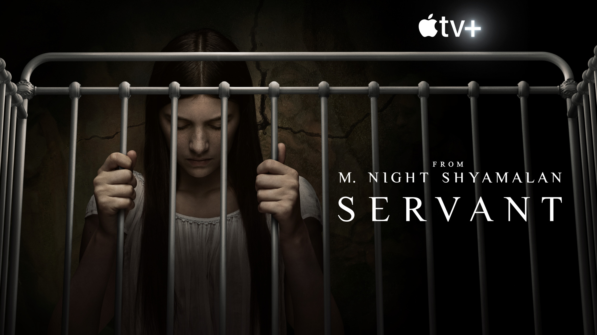 Mega Sized TV Poster Image for Servant (#3 of 6)