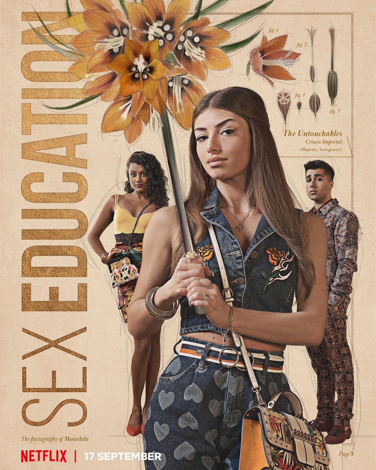 Extra Large TV Poster Image for Sex Education (#16 of 34)