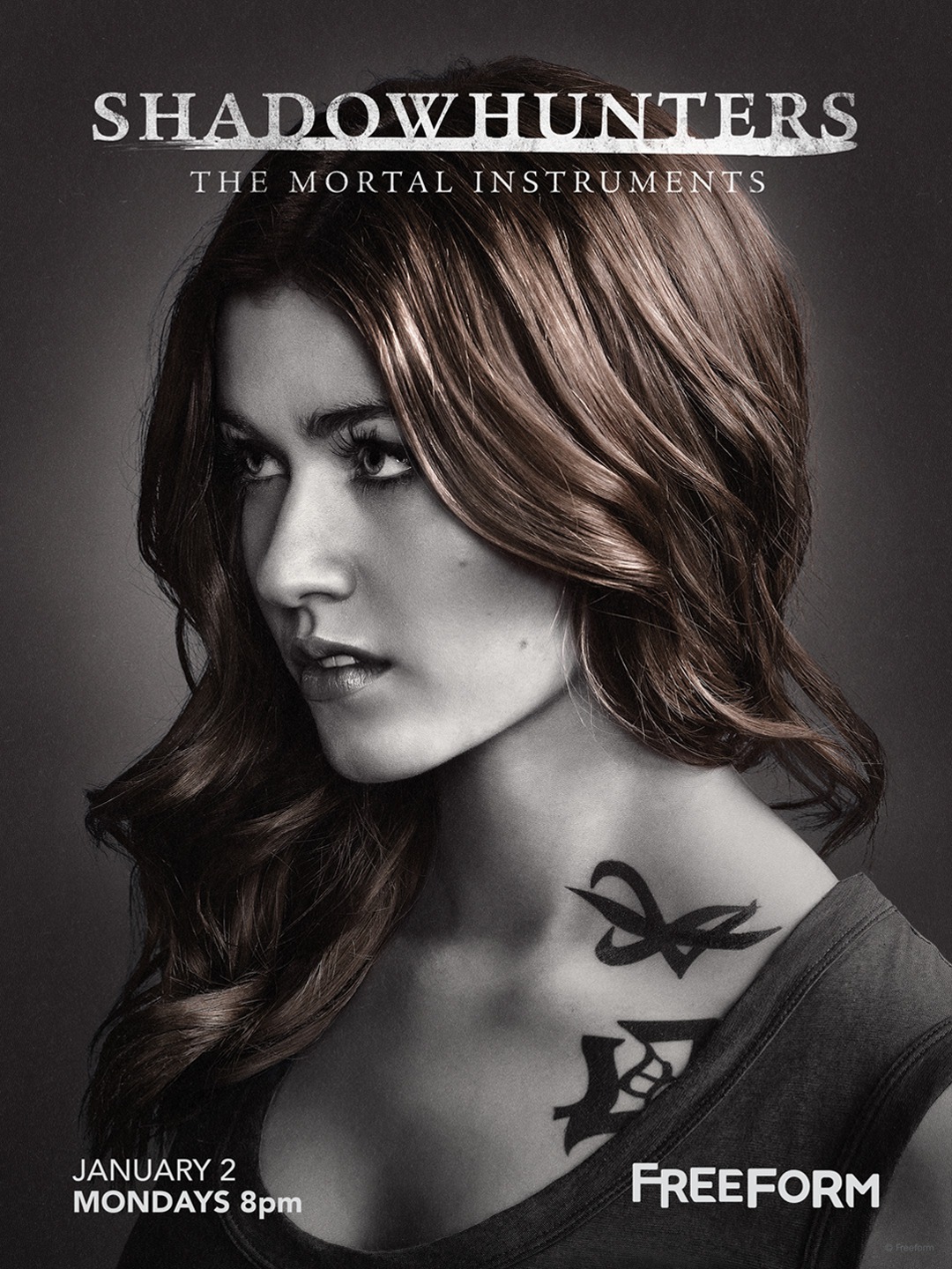 Extra Large TV Poster Image for Shadowhunters: The Mortal Instruments (#11 of 19)