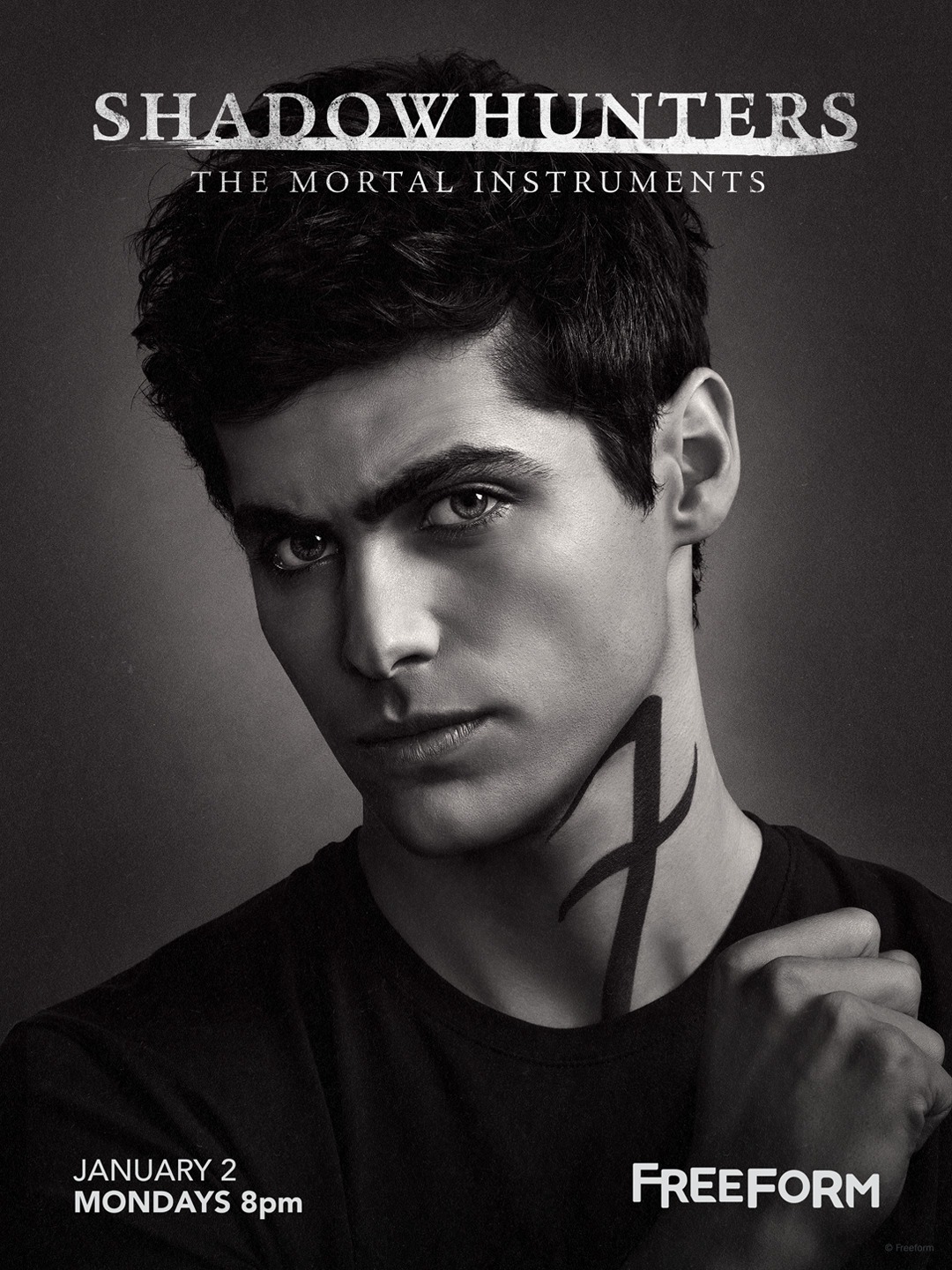 Extra Large TV Poster Image for Shadowhunters: The Mortal Instruments (#12 of 19)