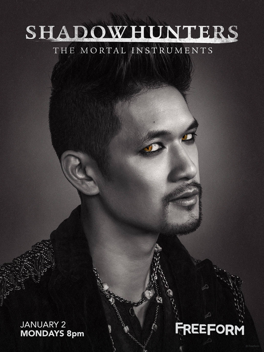 Extra Large TV Poster Image for Shadowhunters: The Mortal Instruments (#13 of 19)