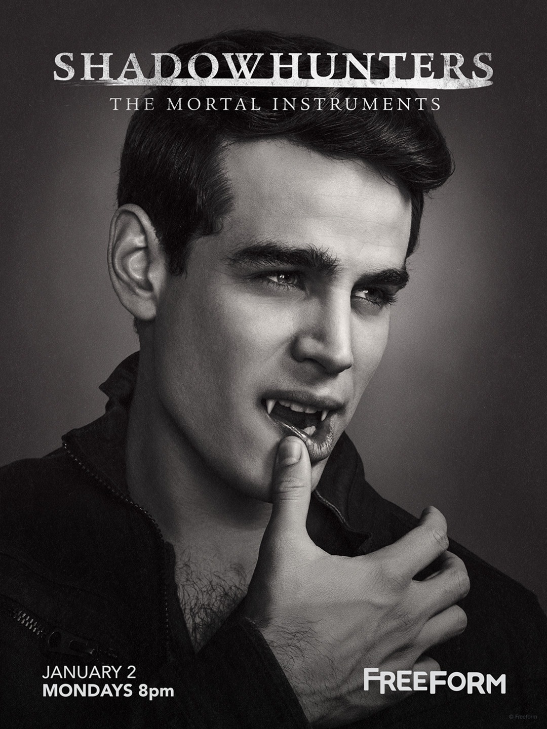 Extra Large TV Poster Image for Shadowhunters: The Mortal Instruments (#14 of 19)