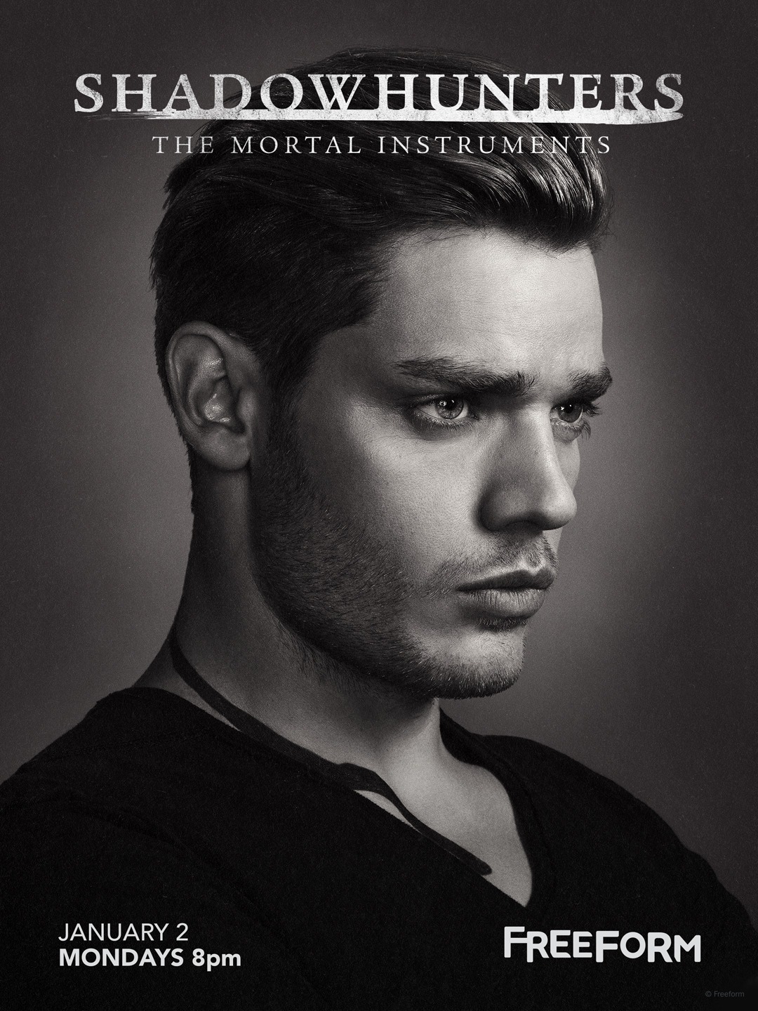 Extra Large TV Poster Image for Shadowhunters: The Mortal Instruments (#9 of 19)