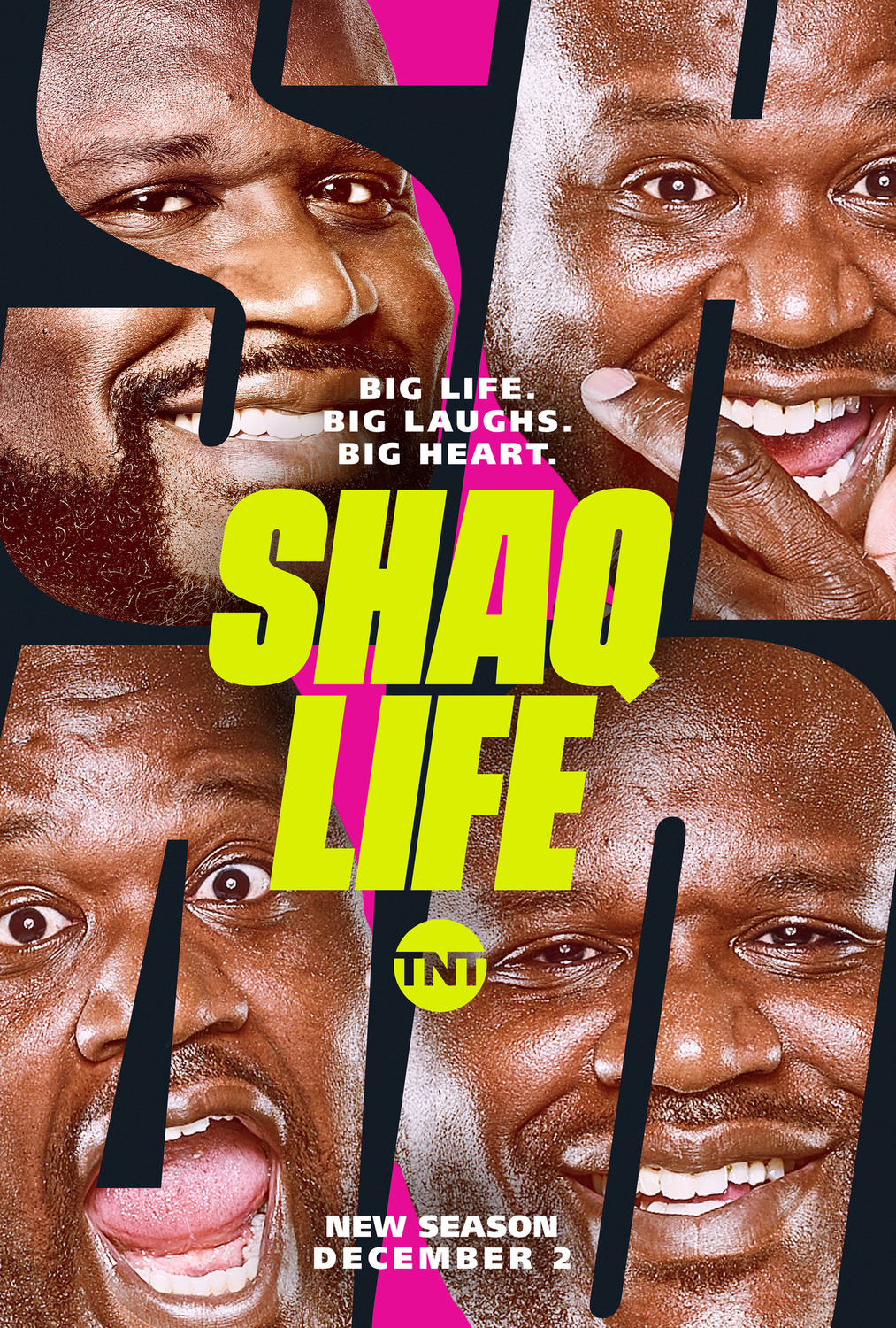 Extra Large TV Poster Image for Shaq Life 