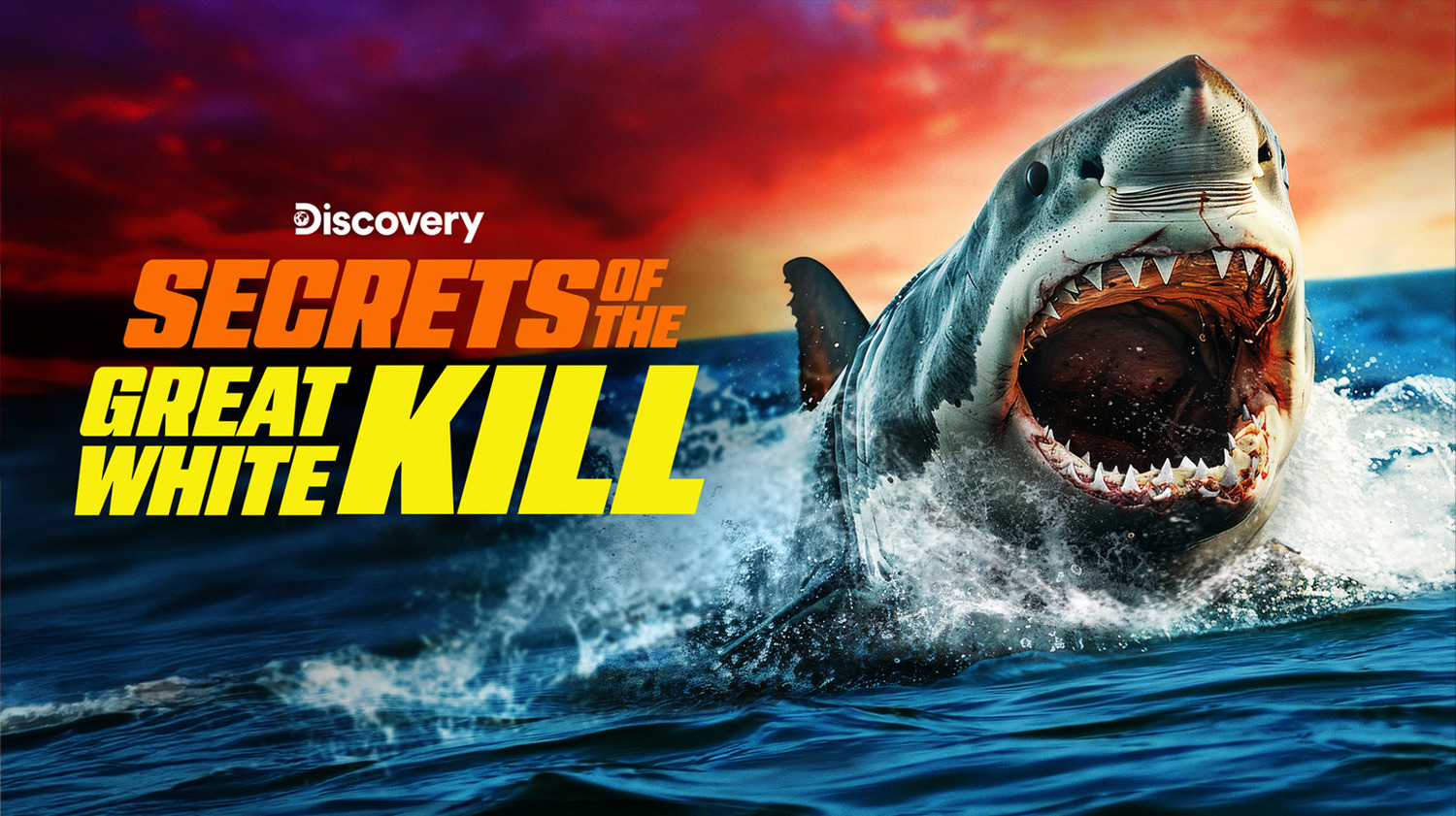 Extra Large TV Poster Image for Shark Week (#19 of 24)