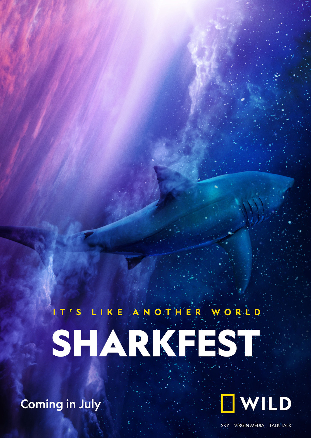 Extra Large TV Poster Image for Sharkfest (#2 of 2)