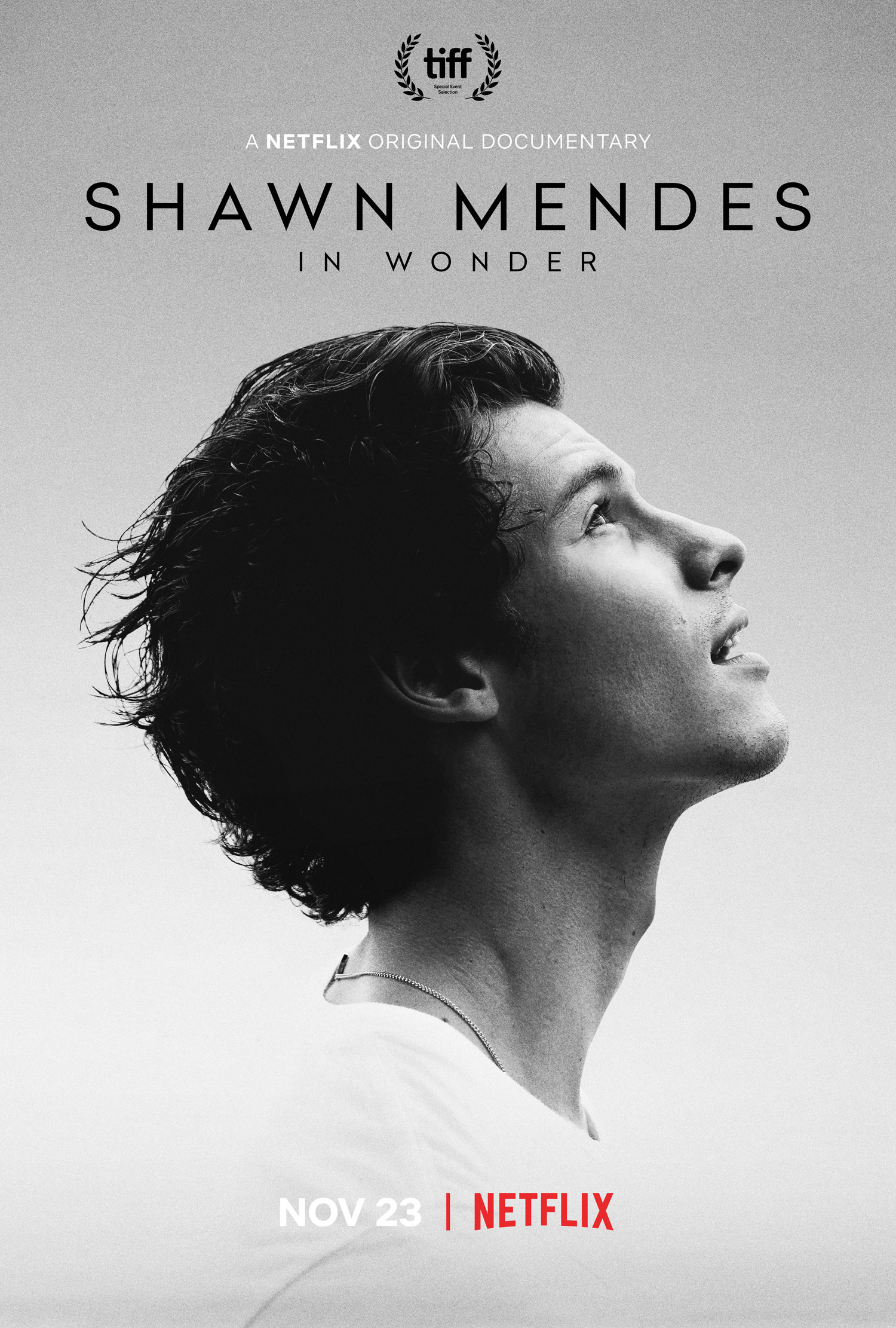 Mega Sized TV Poster Image for Shawn Mendes in Wonder 