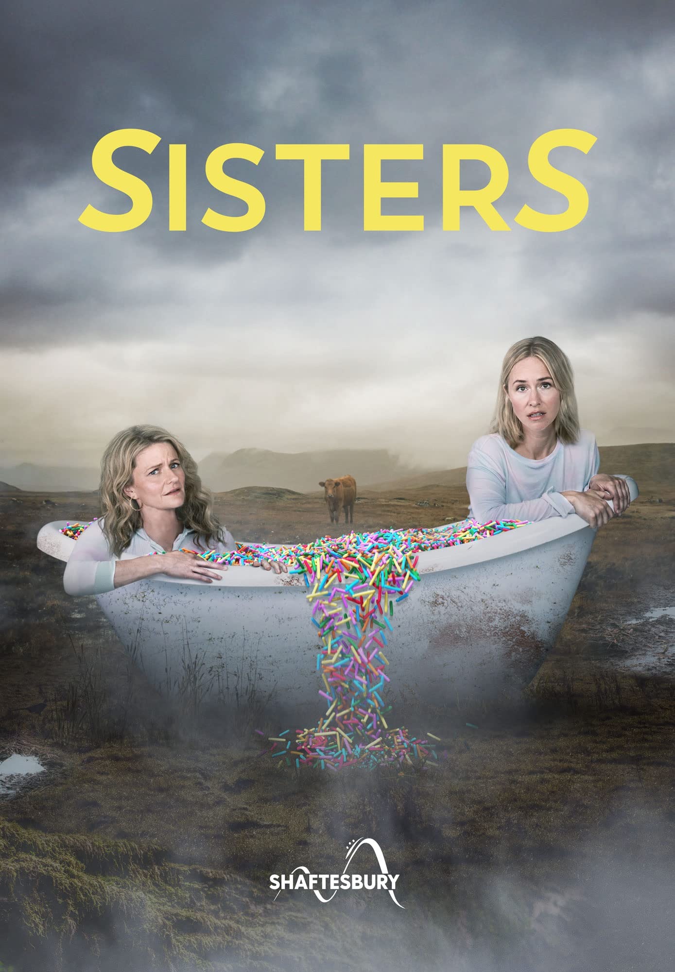 Mega Sized TV Poster Image for SisterS 