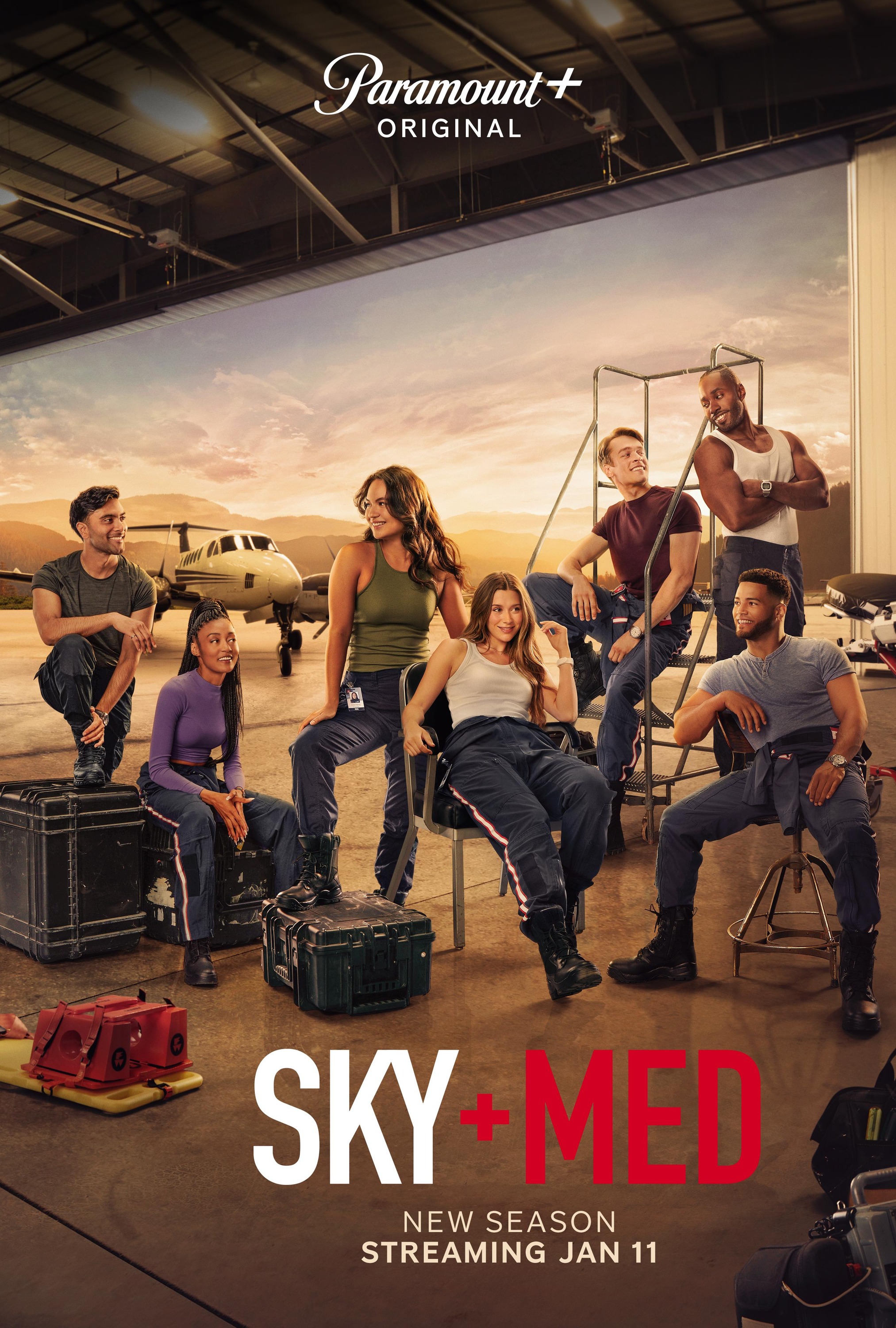 Mega Sized TV Poster Image for Skymed (#2 of 2)