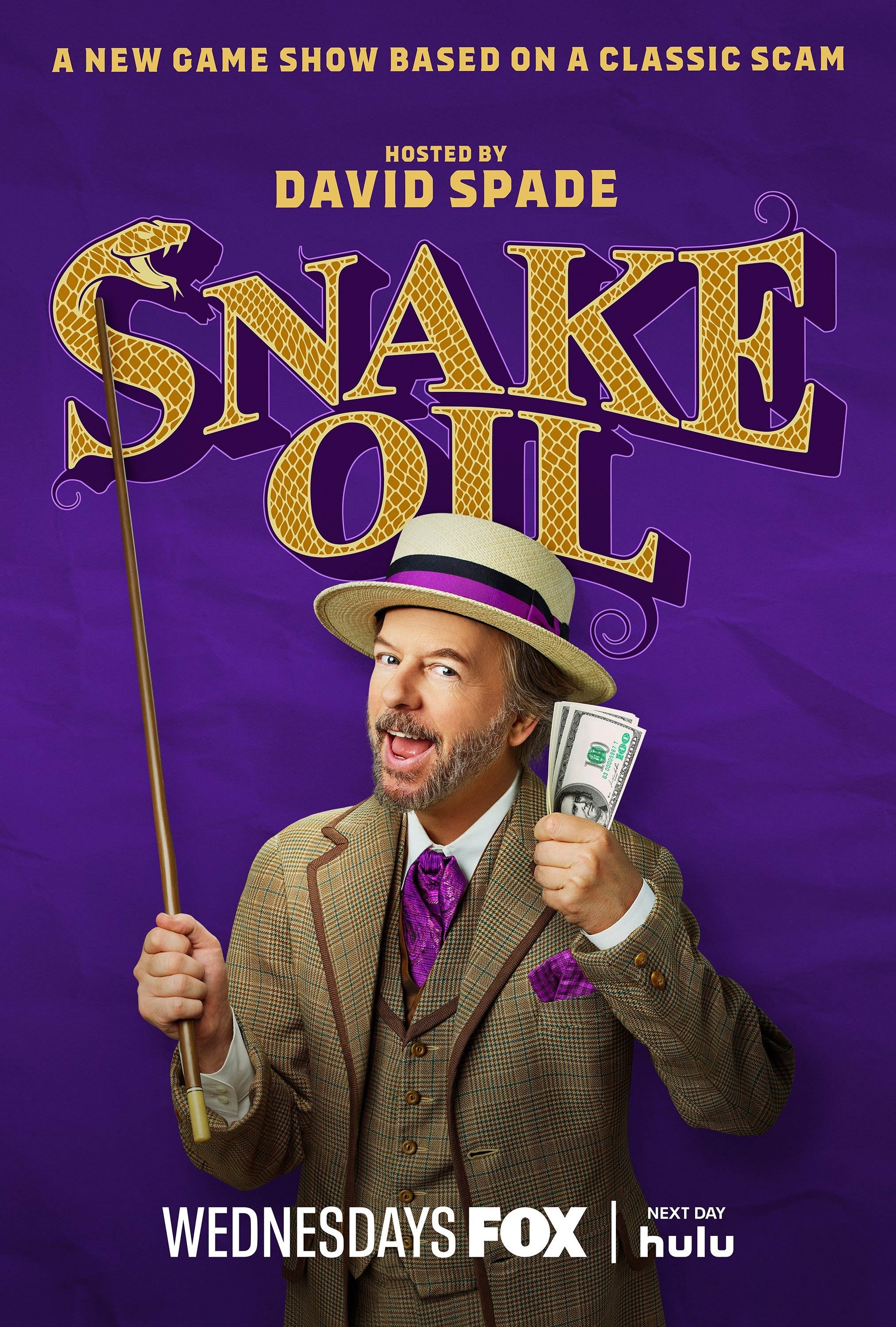 Mega Sized TV Poster Image for Snake Oil (#1 of 2)