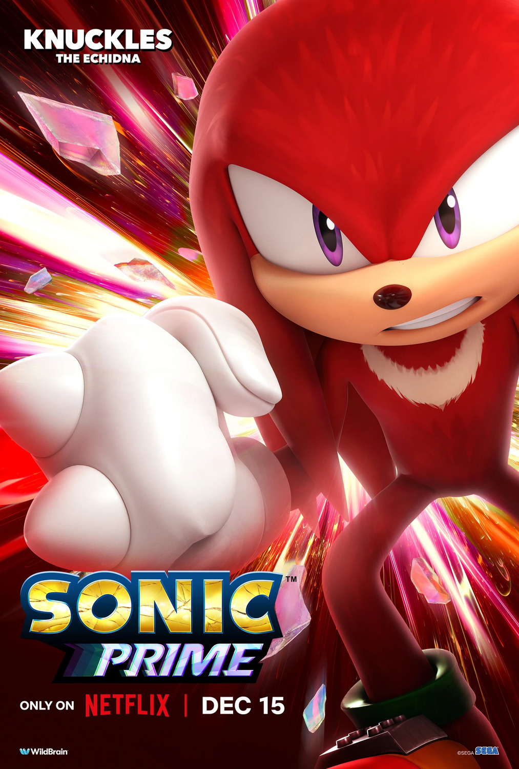 Extra Large TV Poster Image for Sonic Prime (#3 of 9)